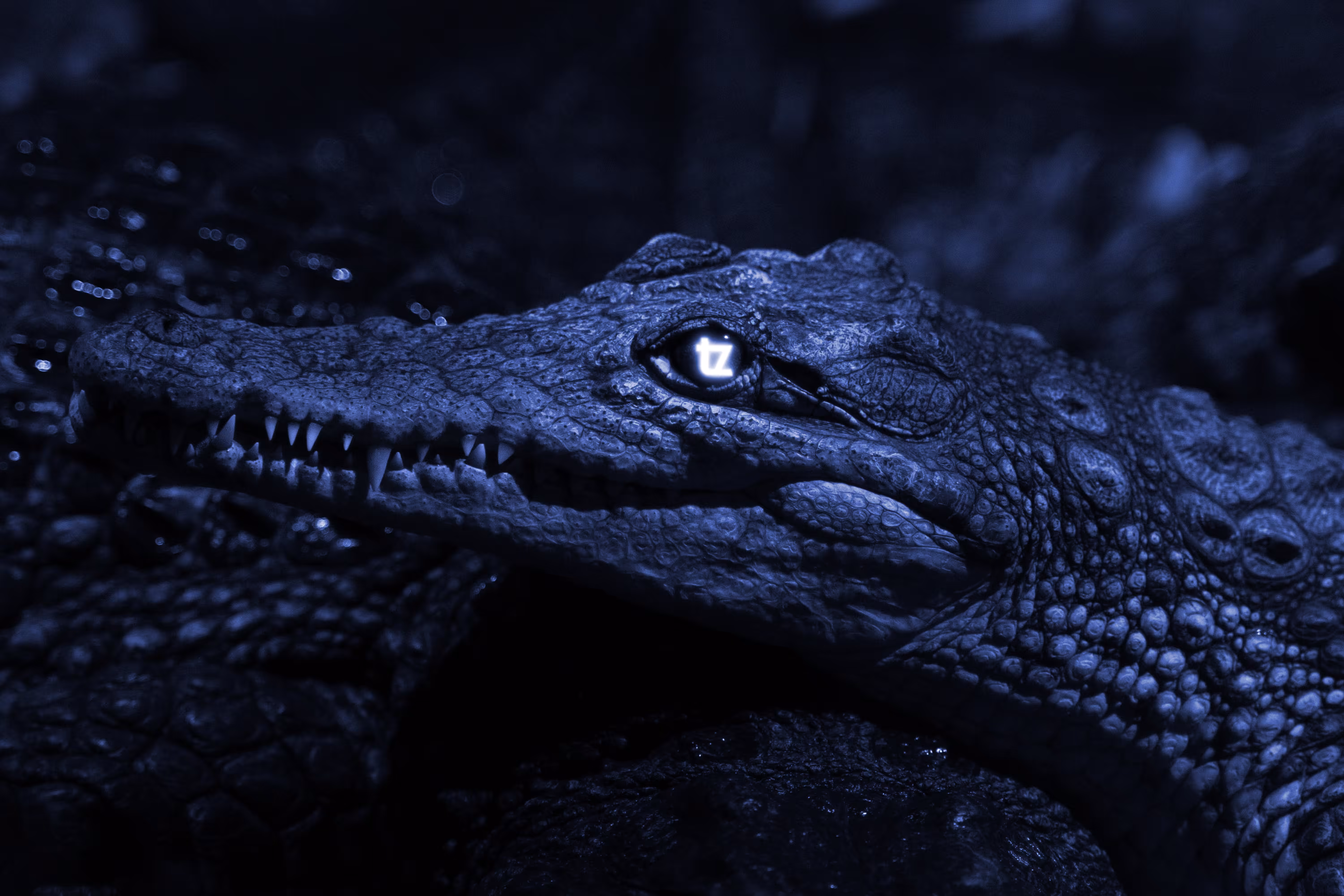 Crocodile Tezoses
