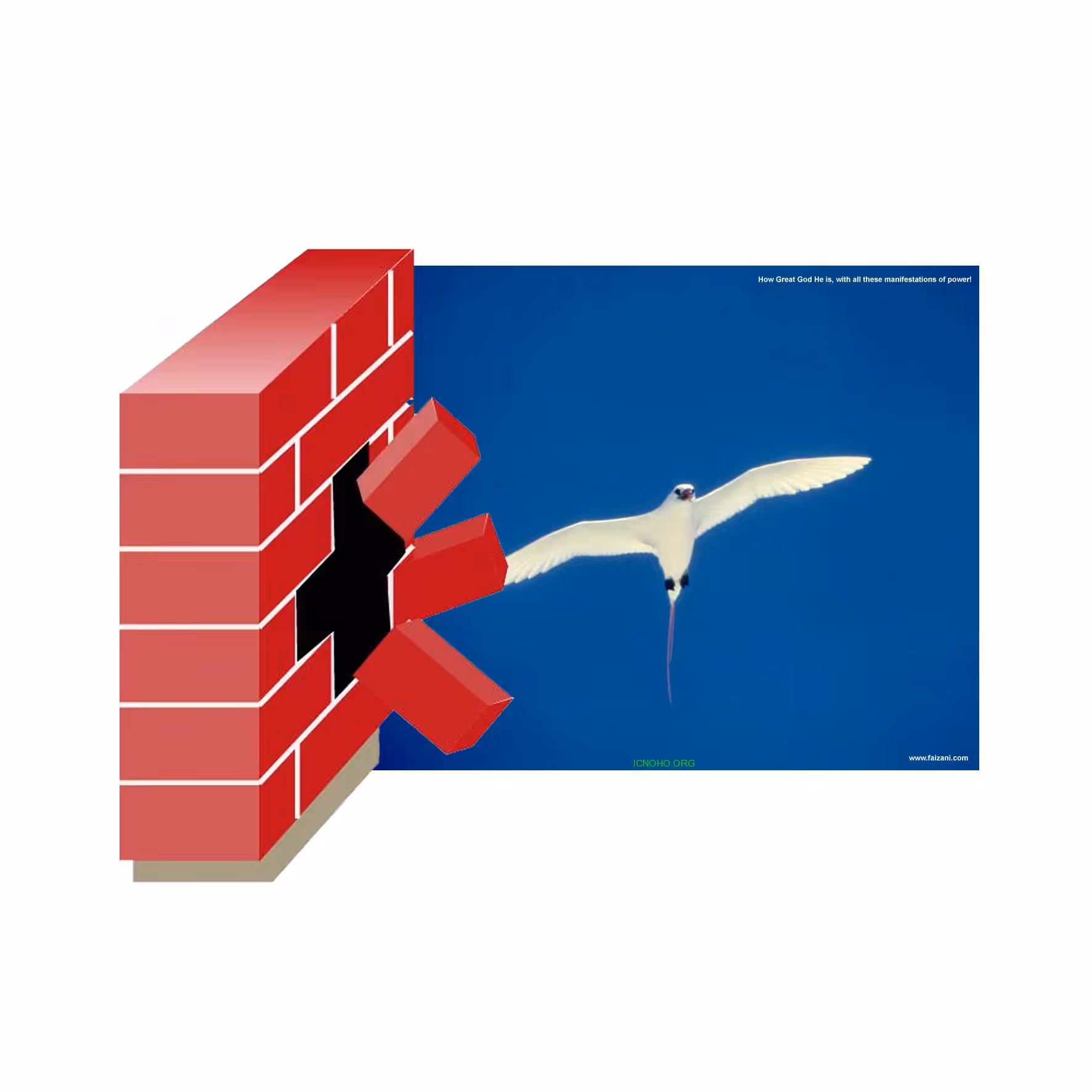 FIREWALLFREEDOMBIRD