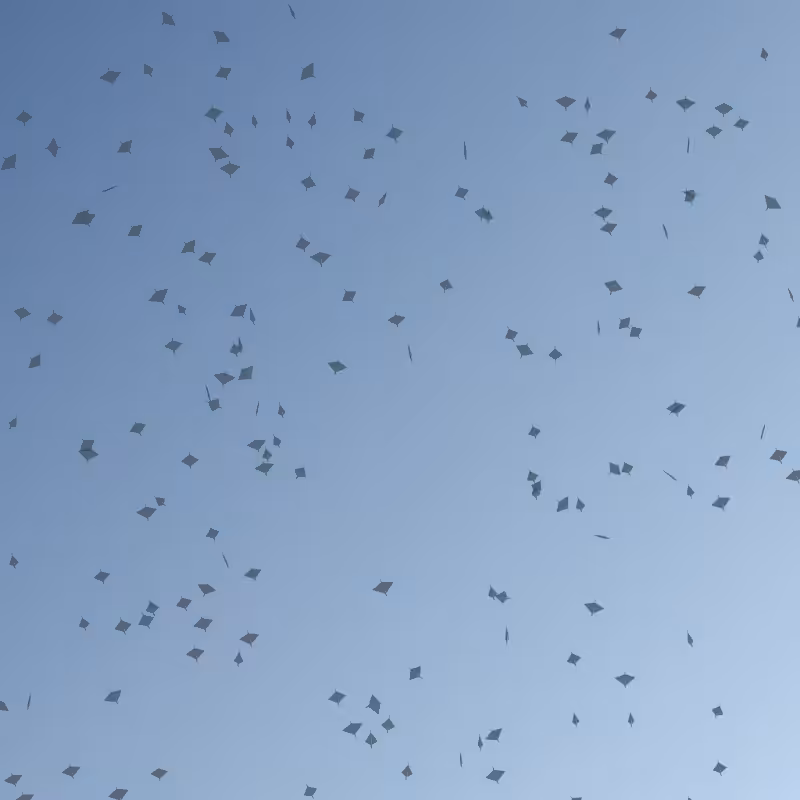 Painting Flocks  #17
