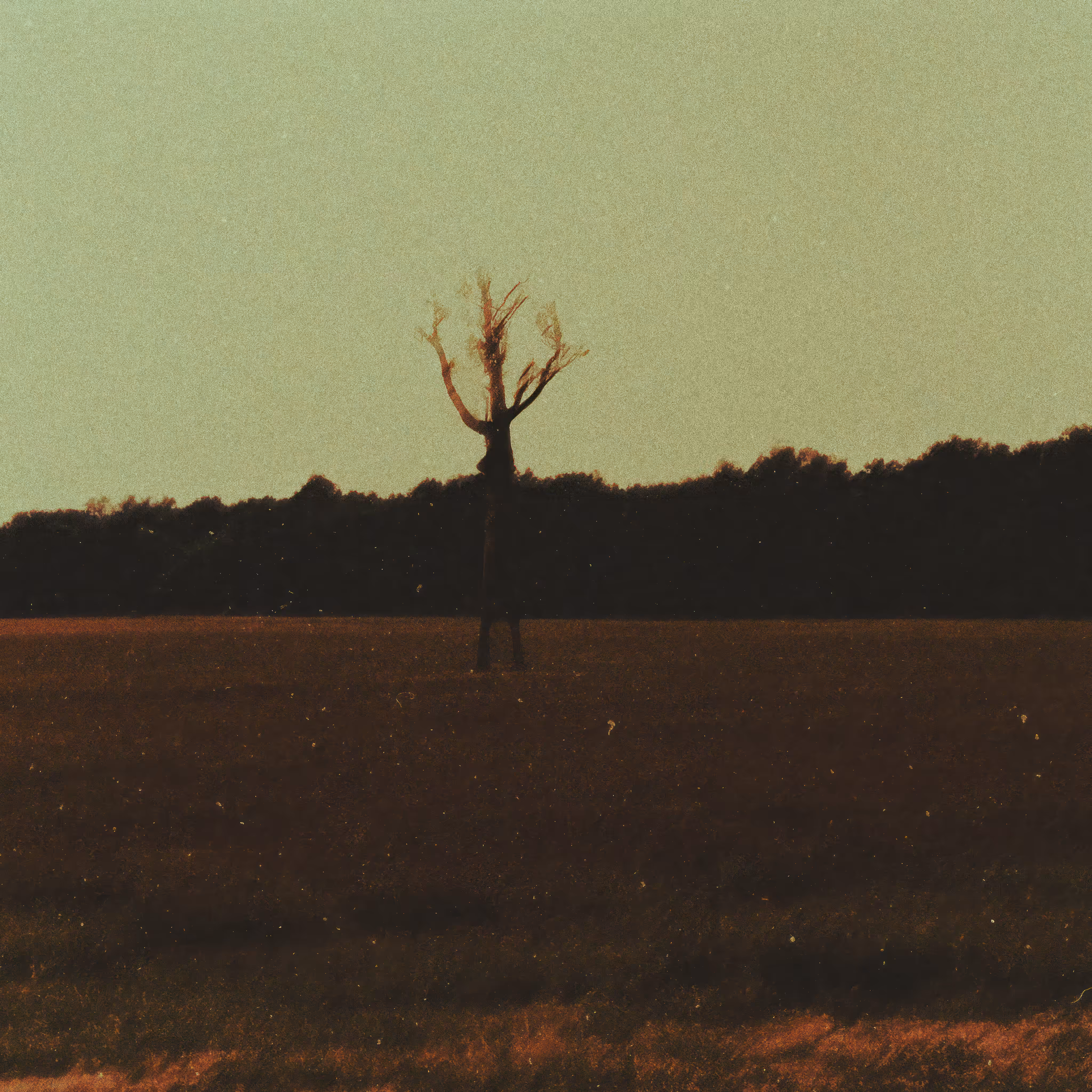 Remains #17
