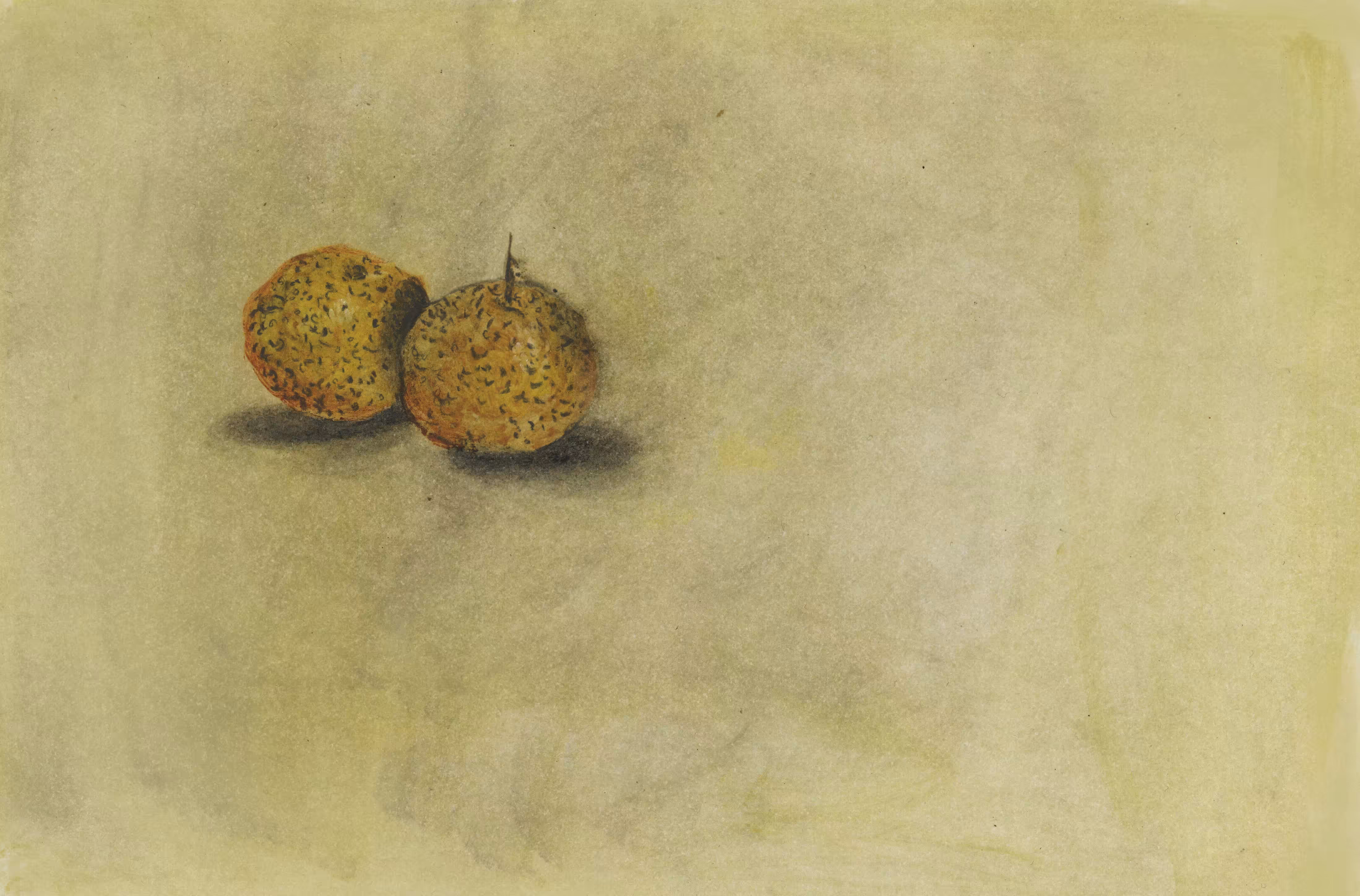 The oranges 