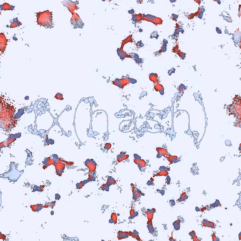 Physarum Logo #800