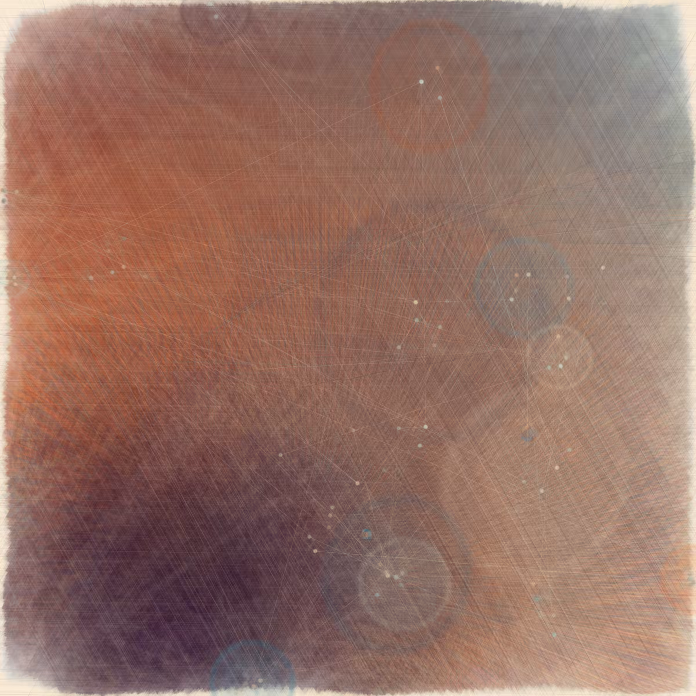 Reticulum