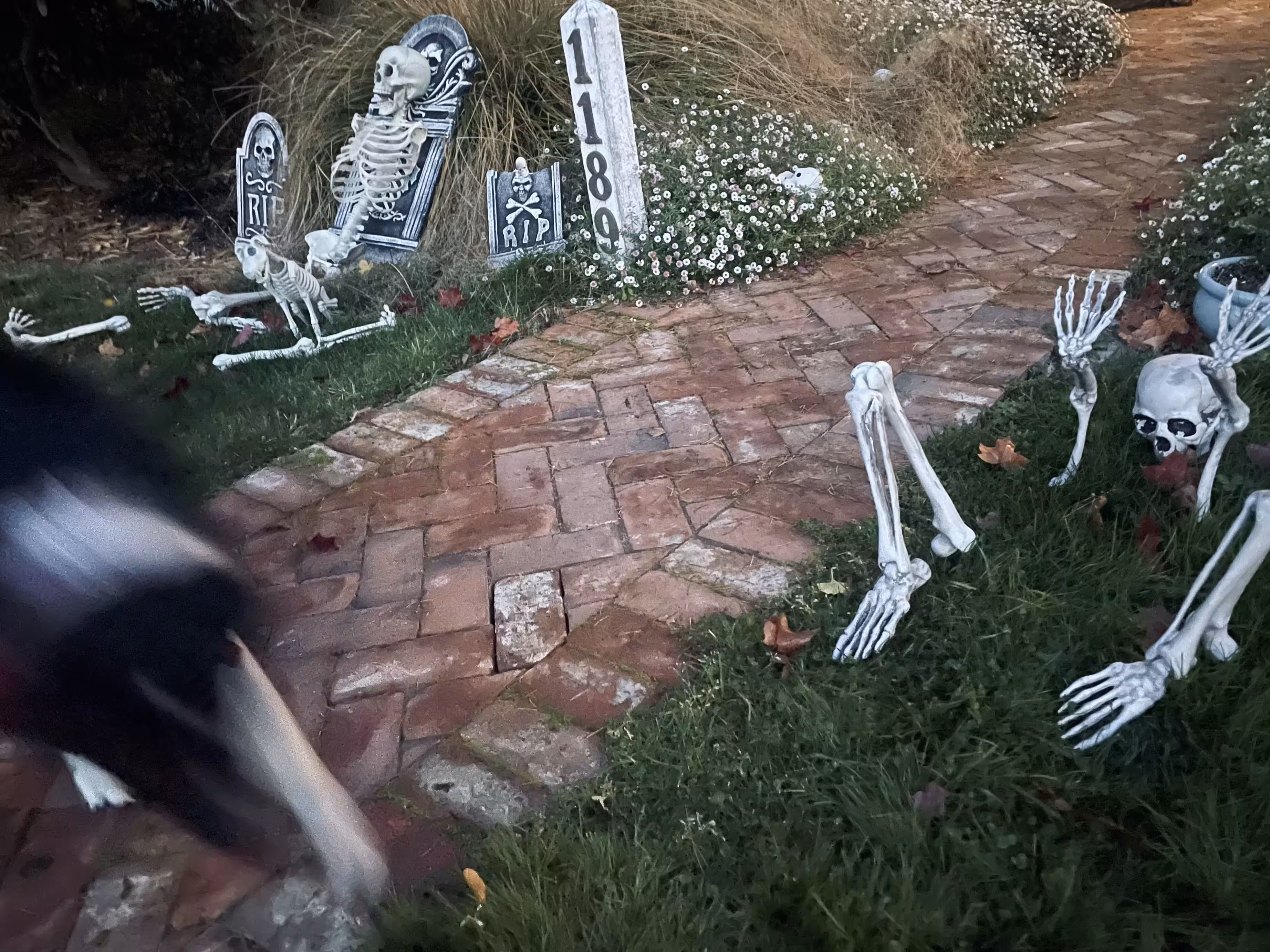 Halloween 2023
