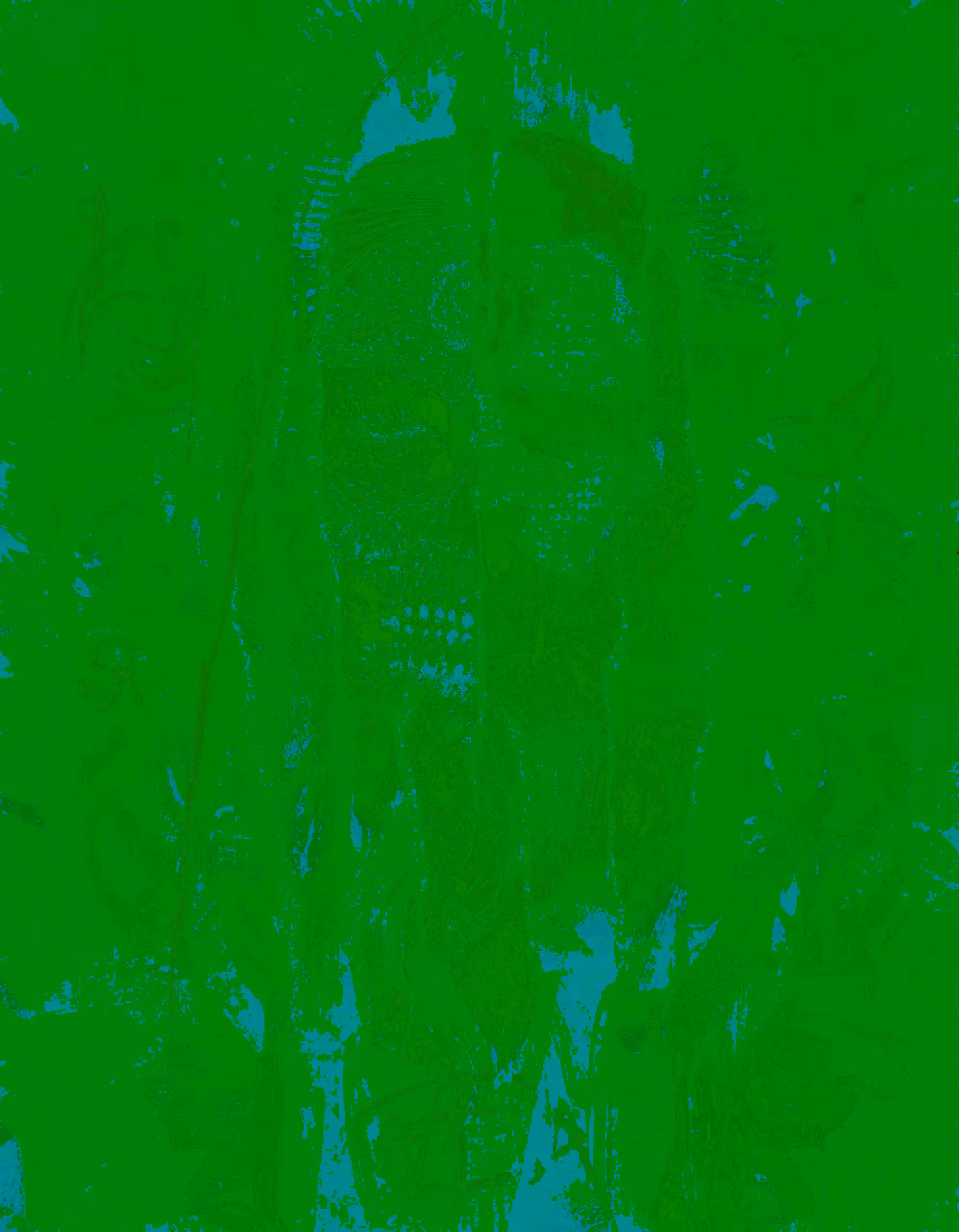 The Green Face