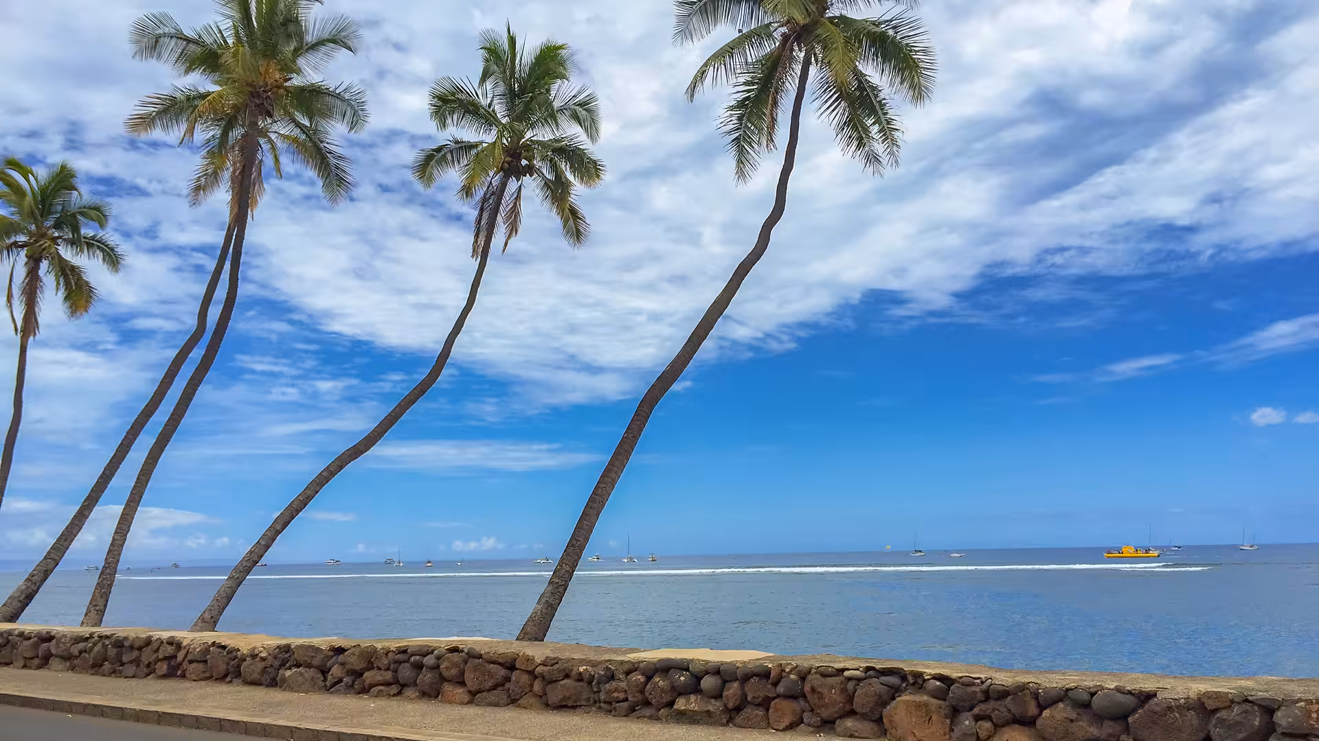 Lahaina Palms
