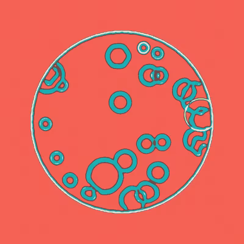 Cheap Petri Dish #4