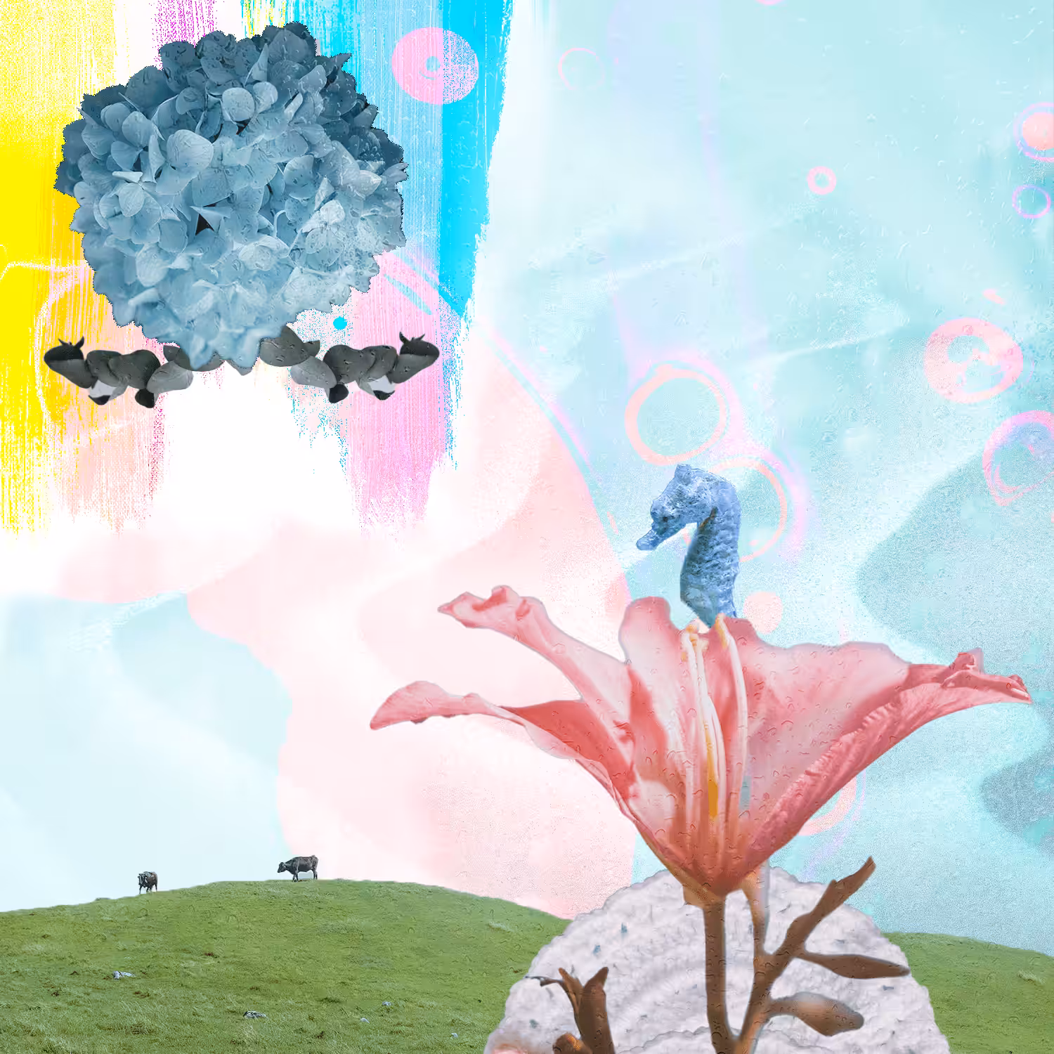 Colorflow
