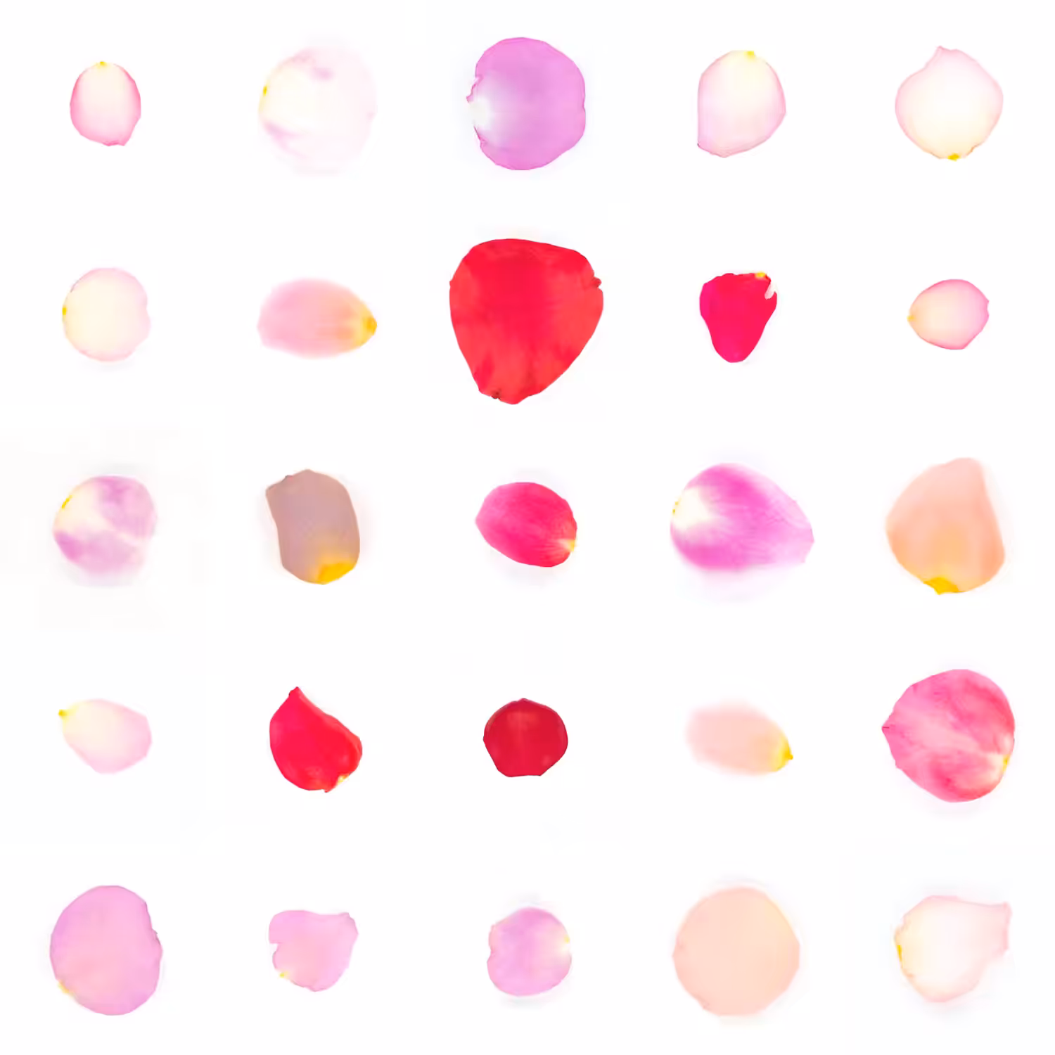 Infinite Petals 5x5#21316