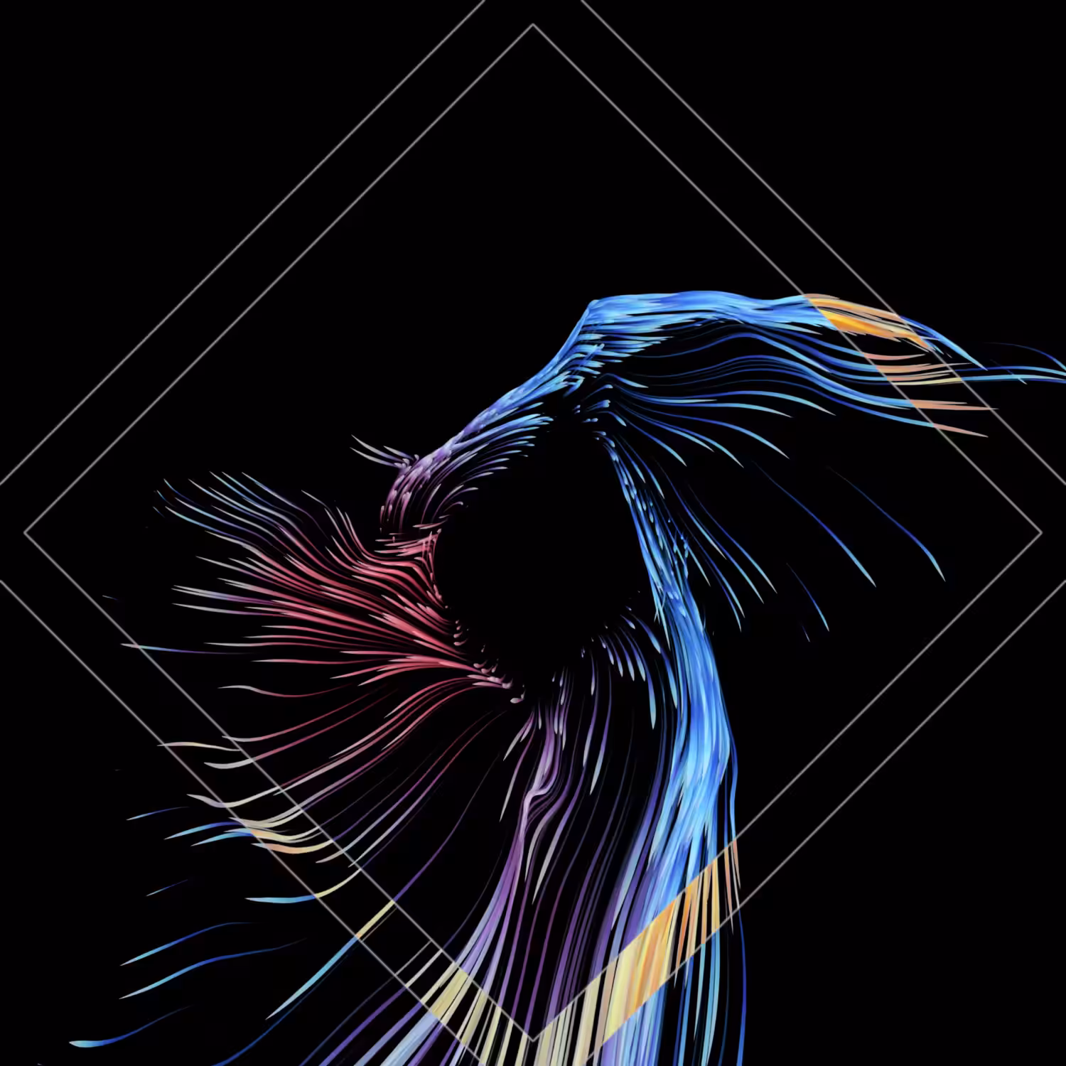 Vortex #211