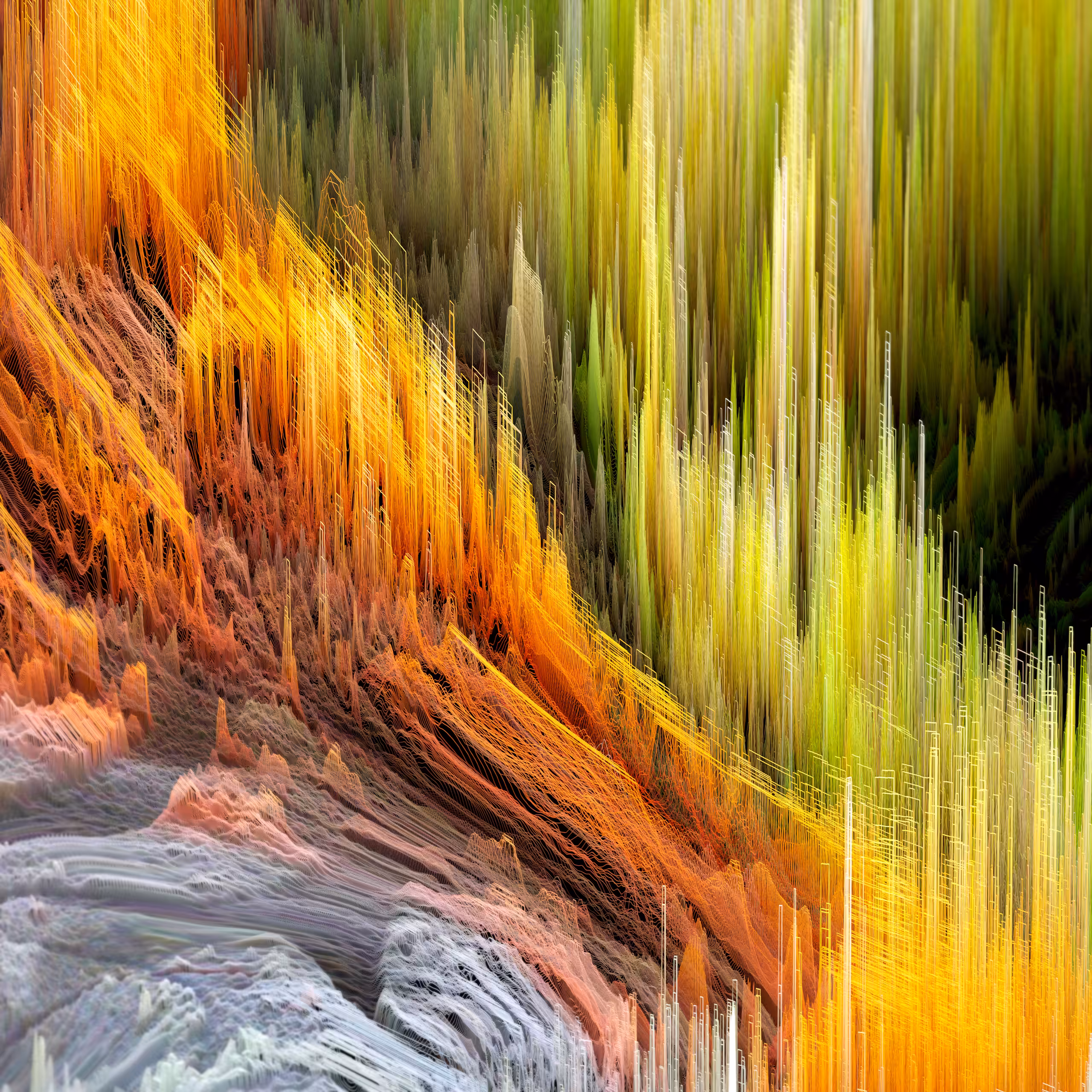 Blazing Forest