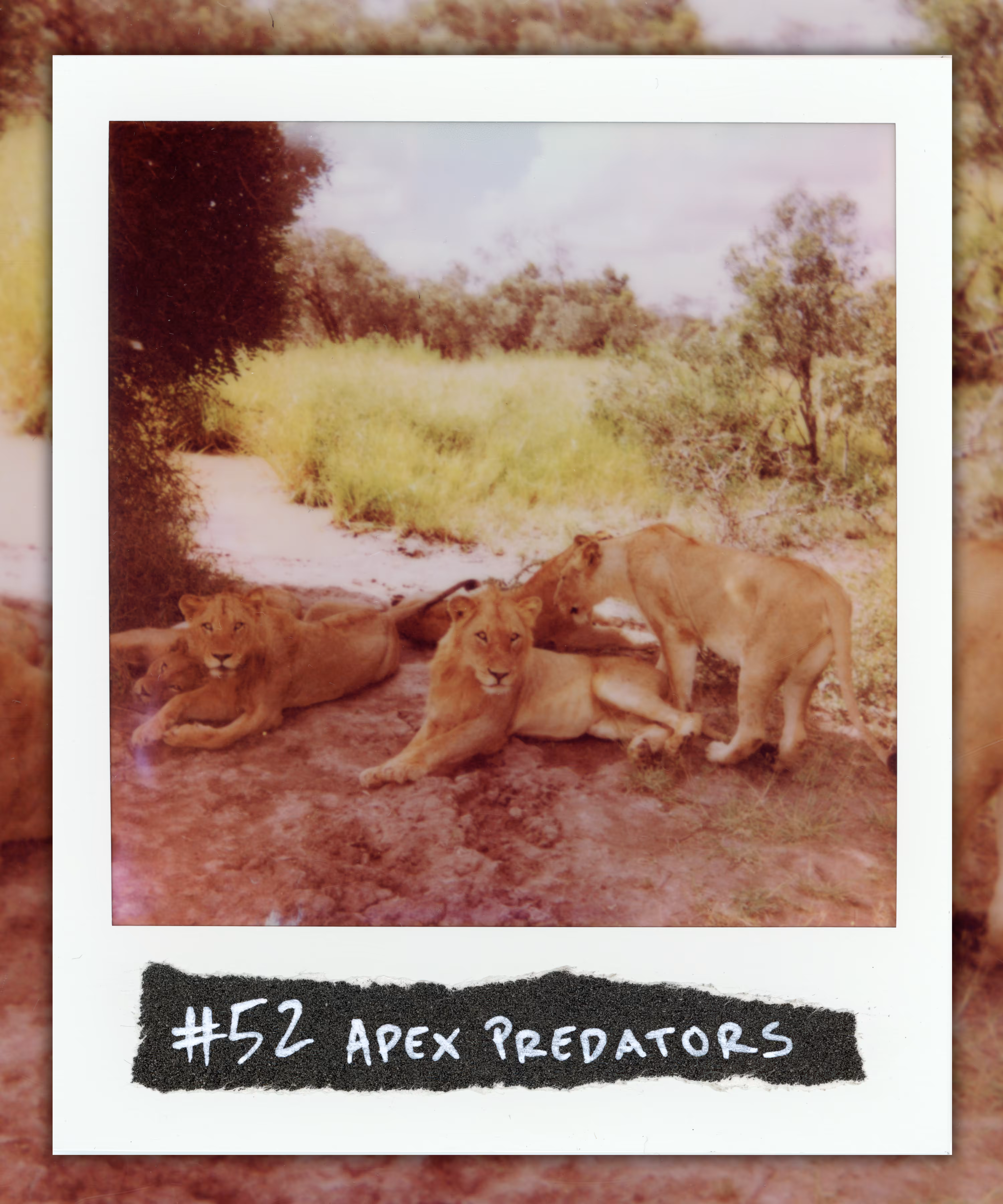 99 Originals: #52 APEX PREDATORS