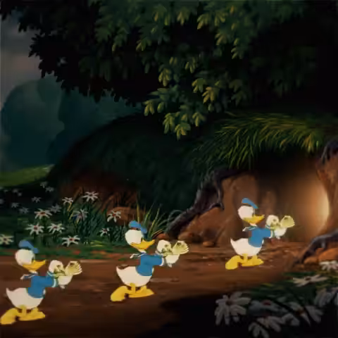Donald Going Down the Rabbit Hole
