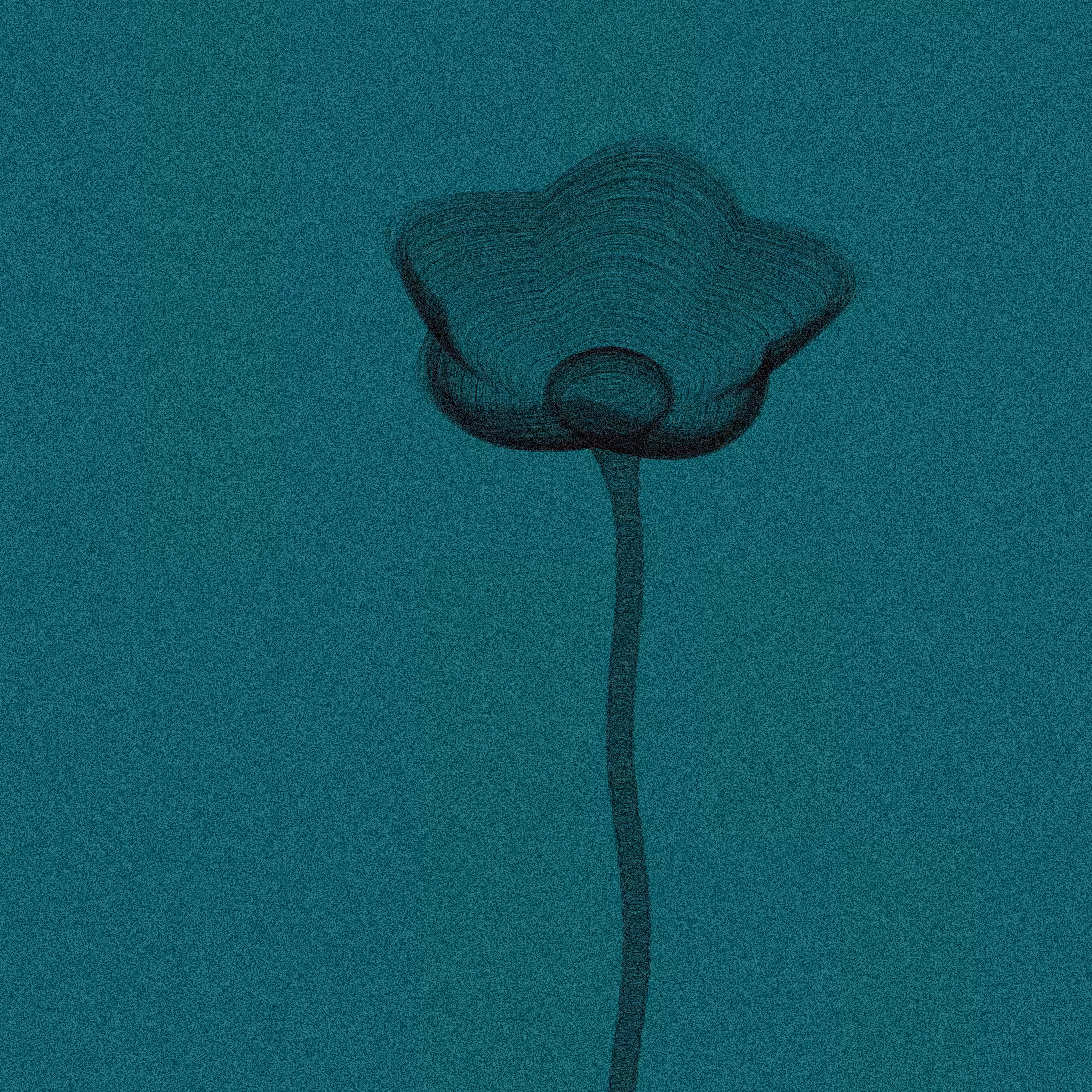 Code Flowers #25