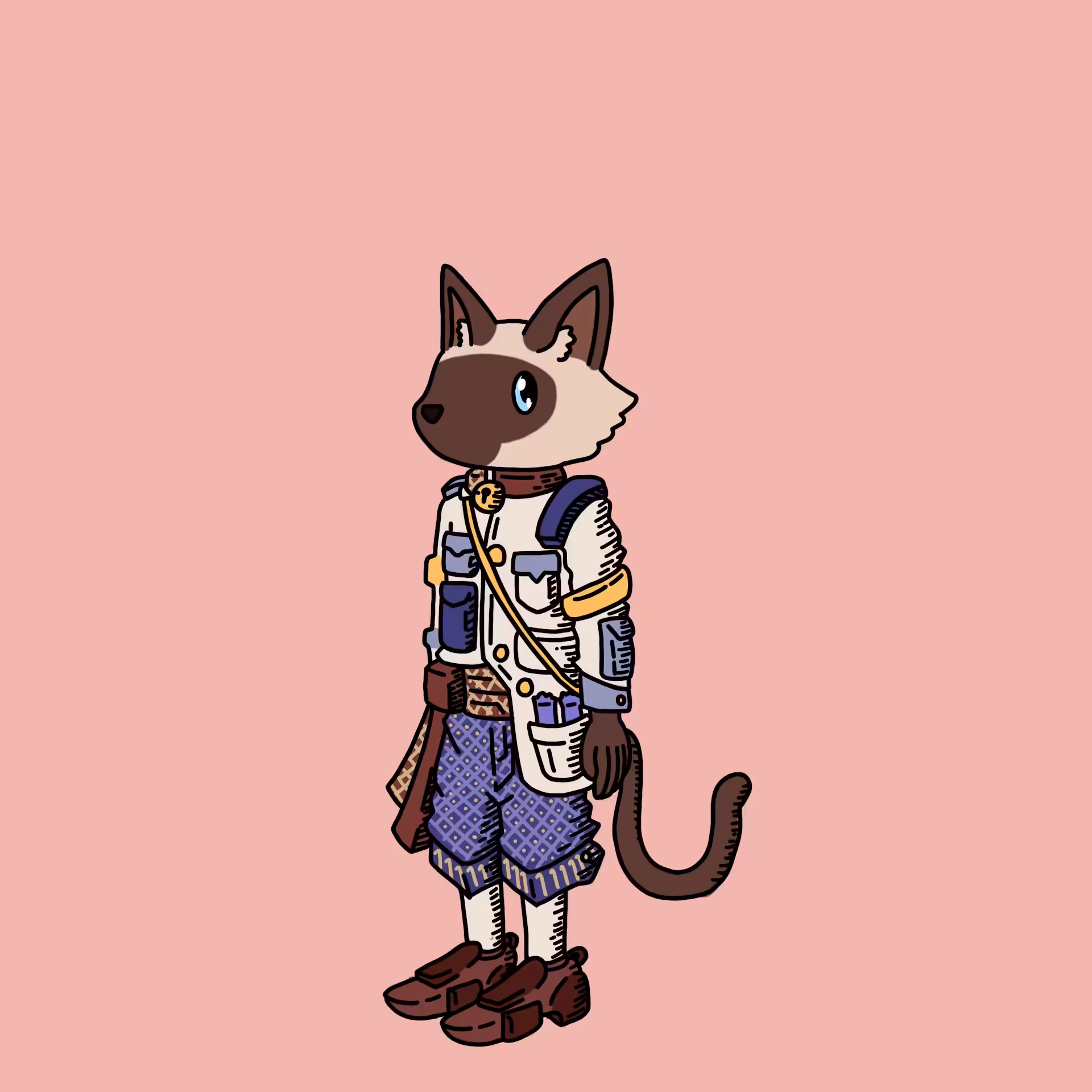 Siamesecatbreeder one eyed guy #00052