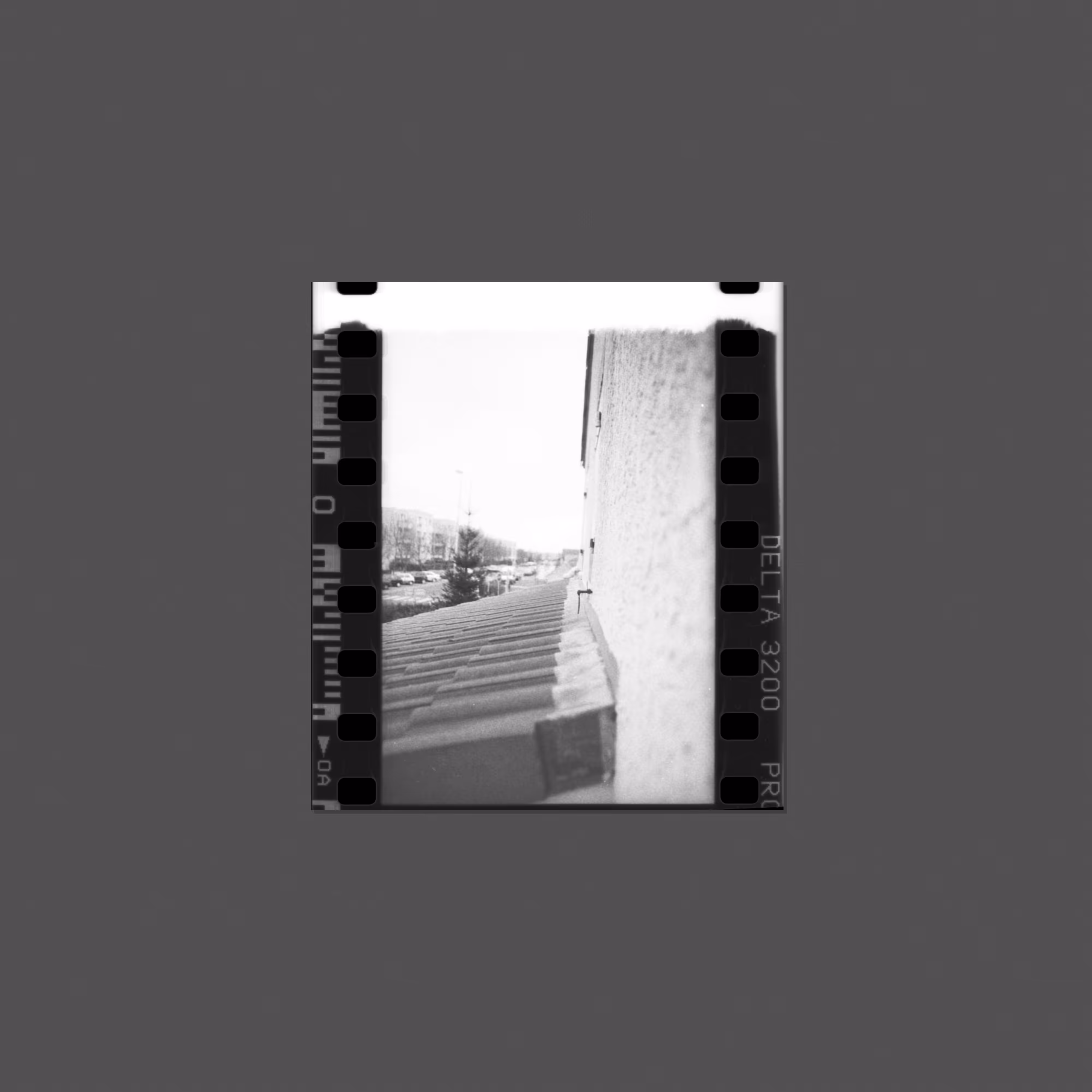 Forgottez #019