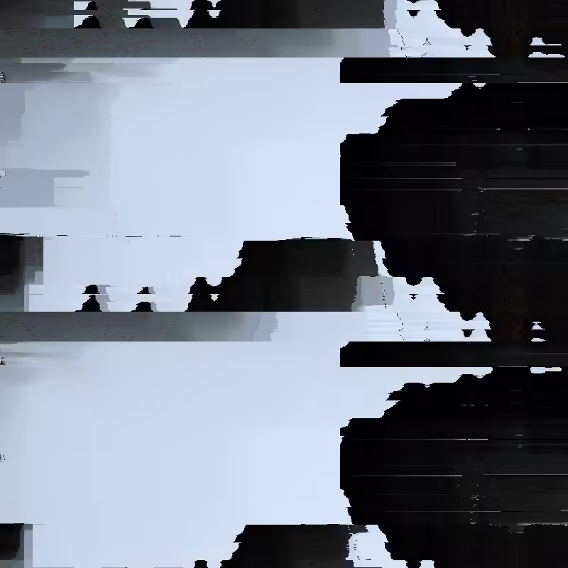 1010.png
