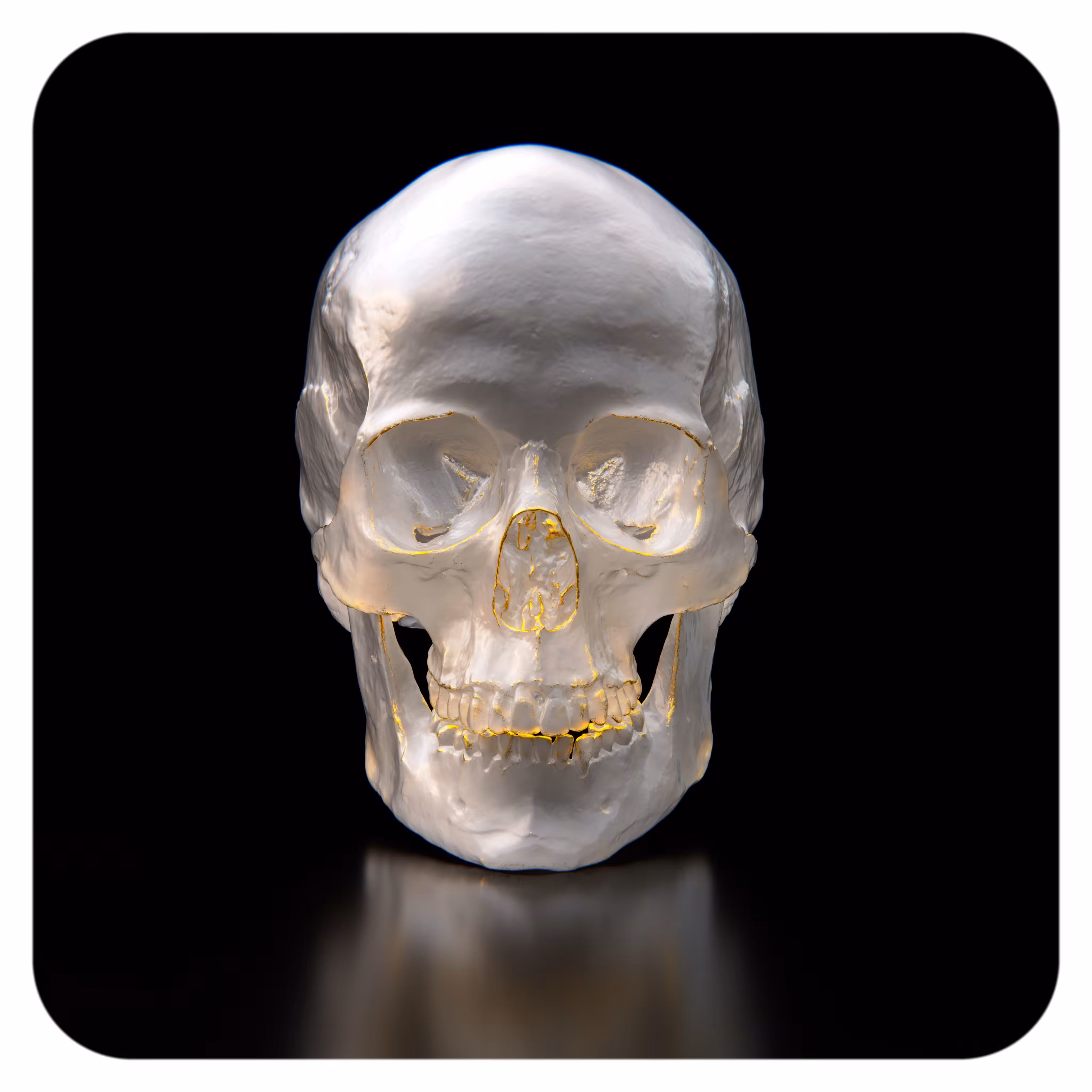 THE SECOND SKULL