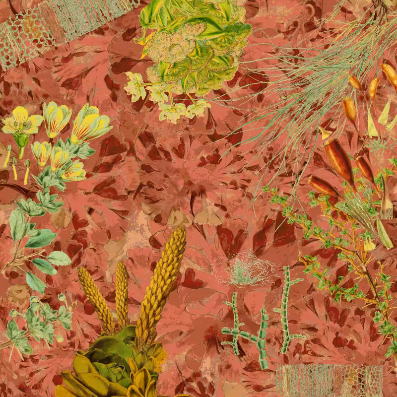 future flora from Antarctica's past #41