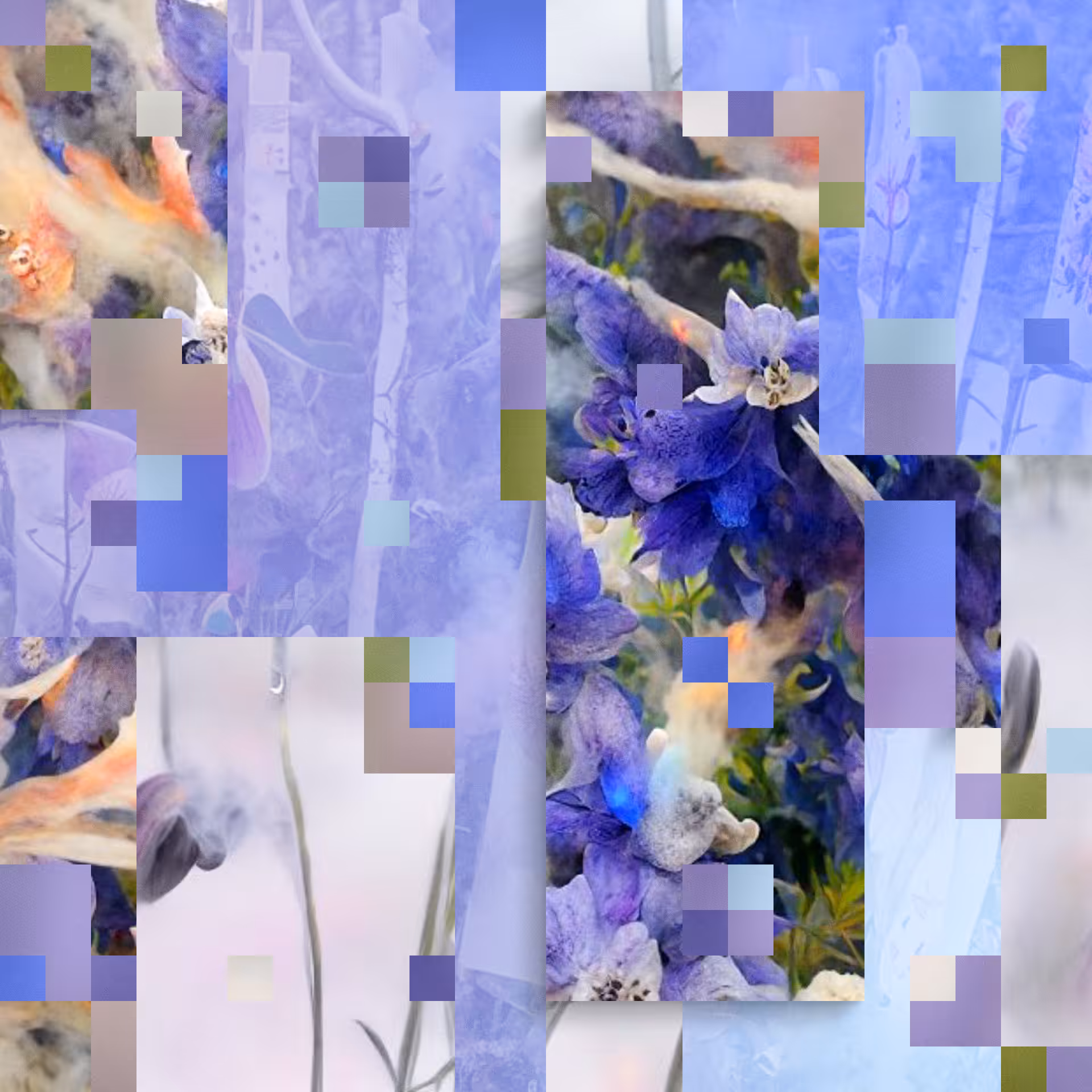 Stephanotis