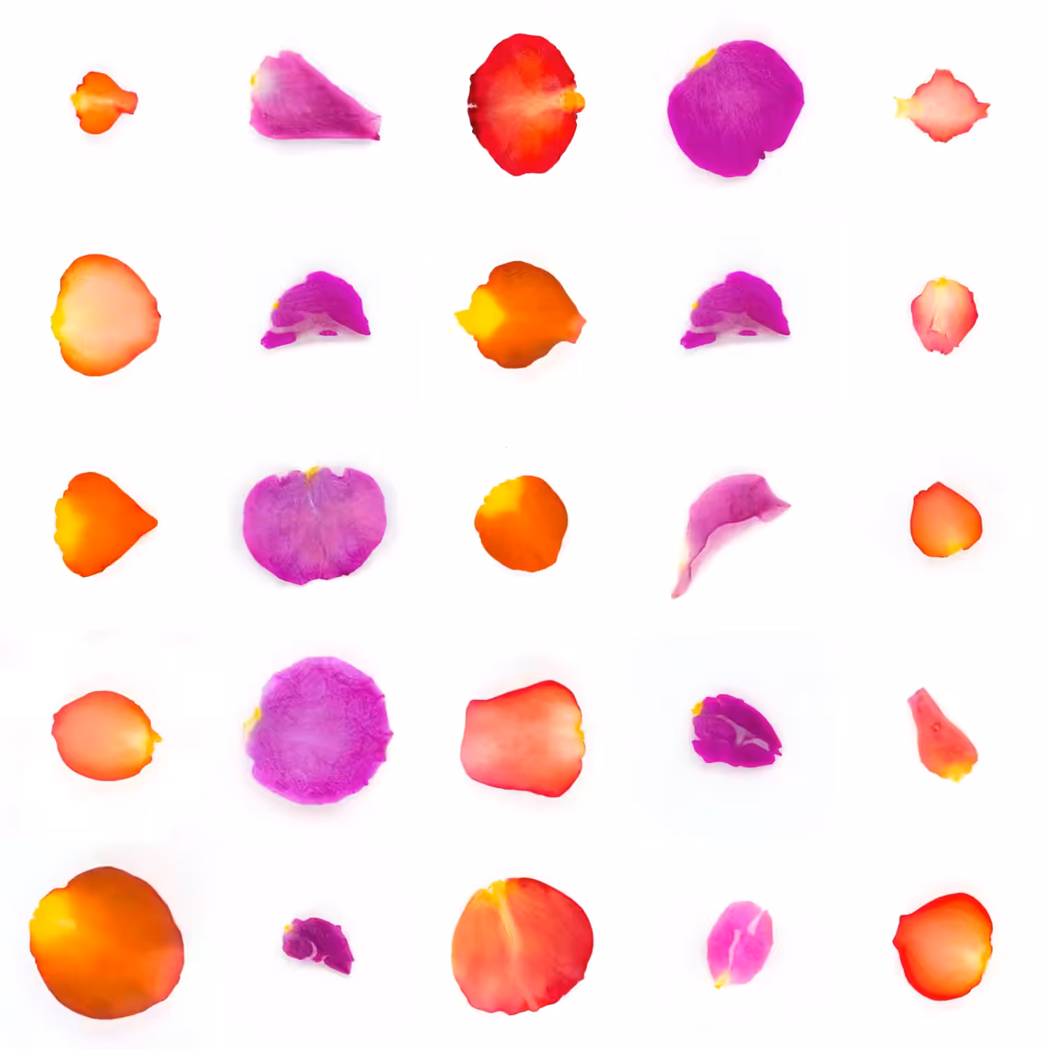Infinite Petals 5x5#20437