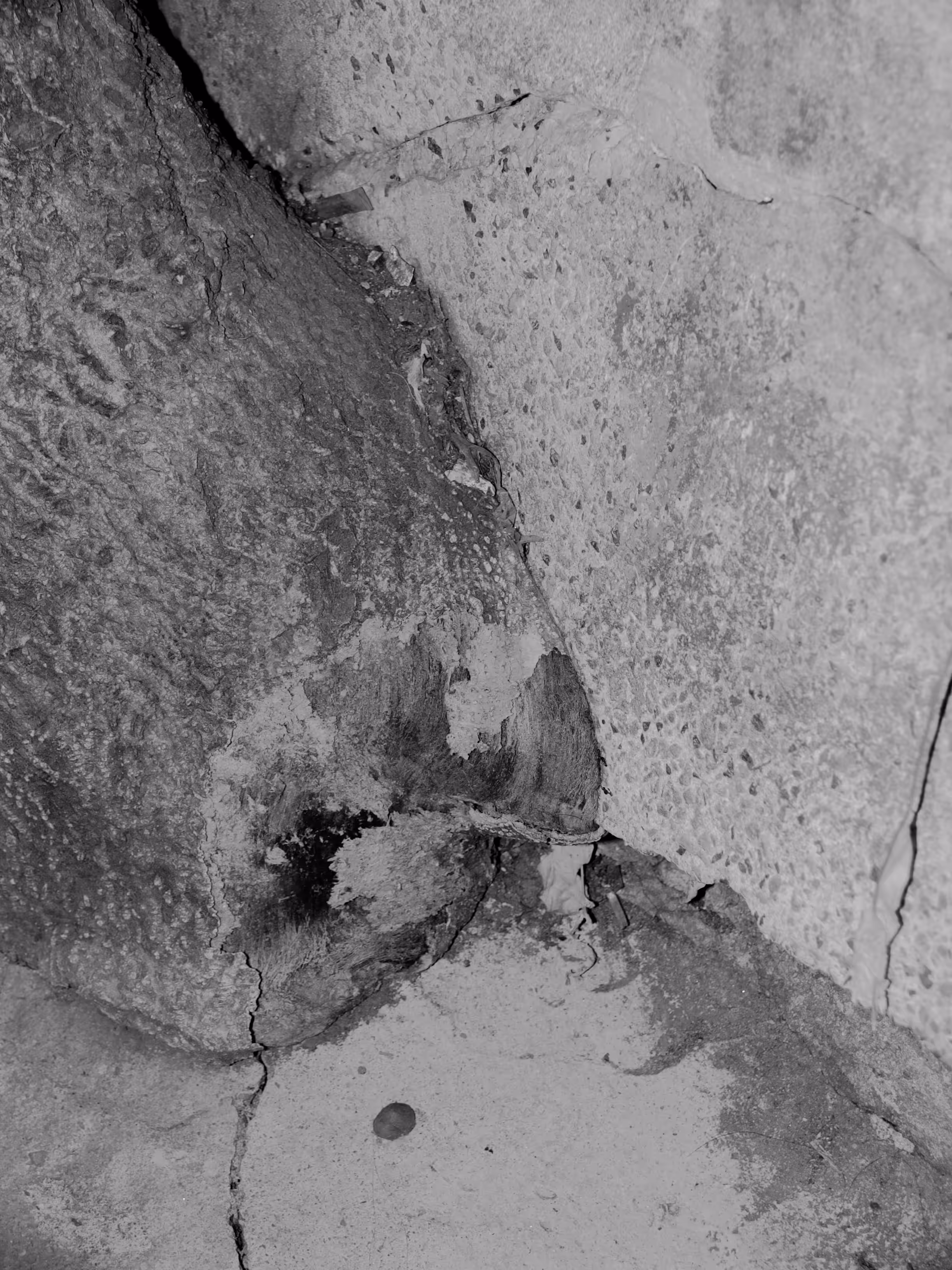 Unexpected Disfigure_01