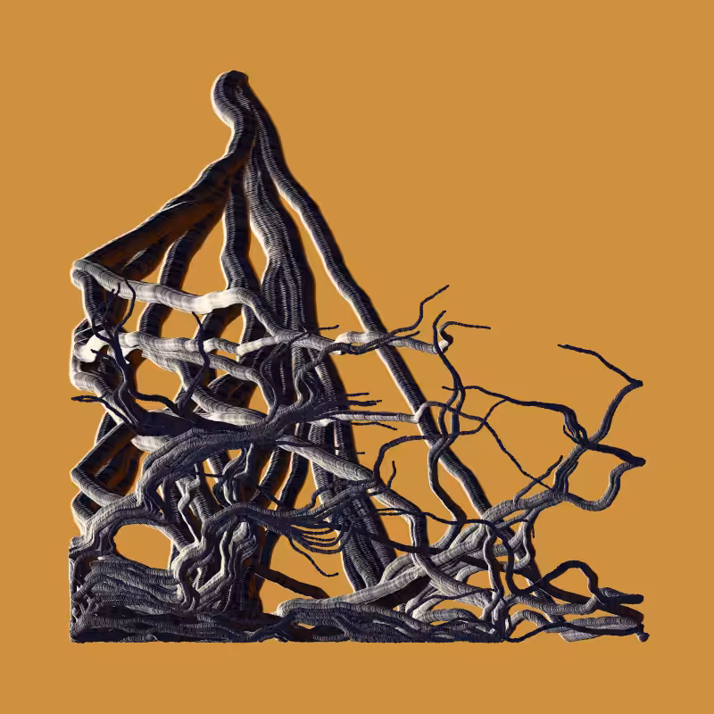 Root #1
