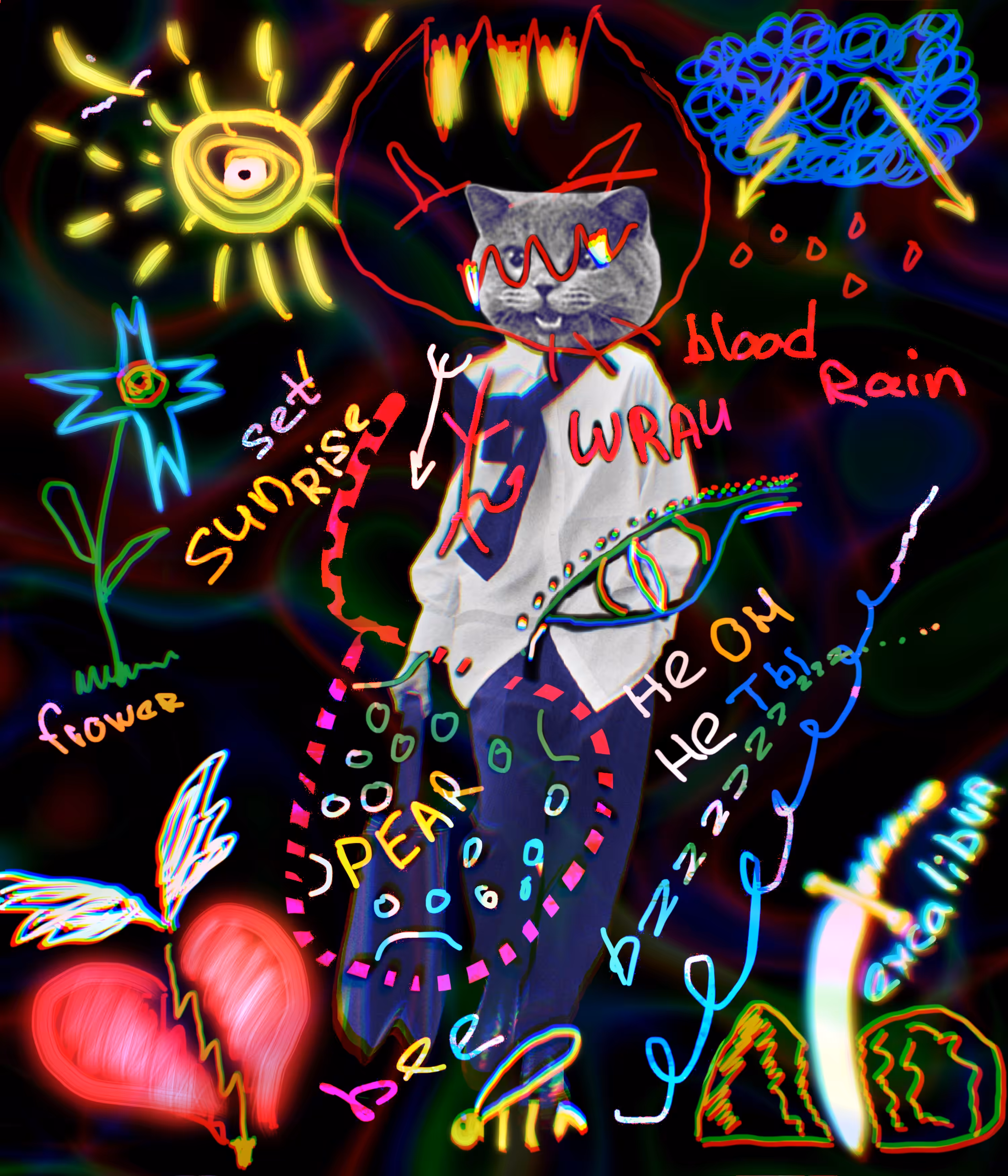 A cat in the big city