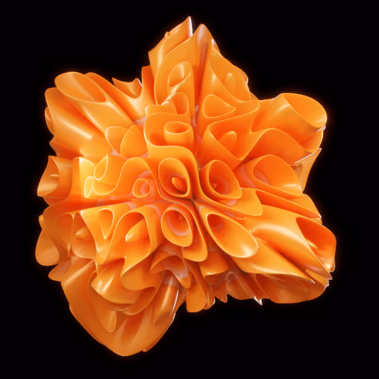 Tangerine Flower