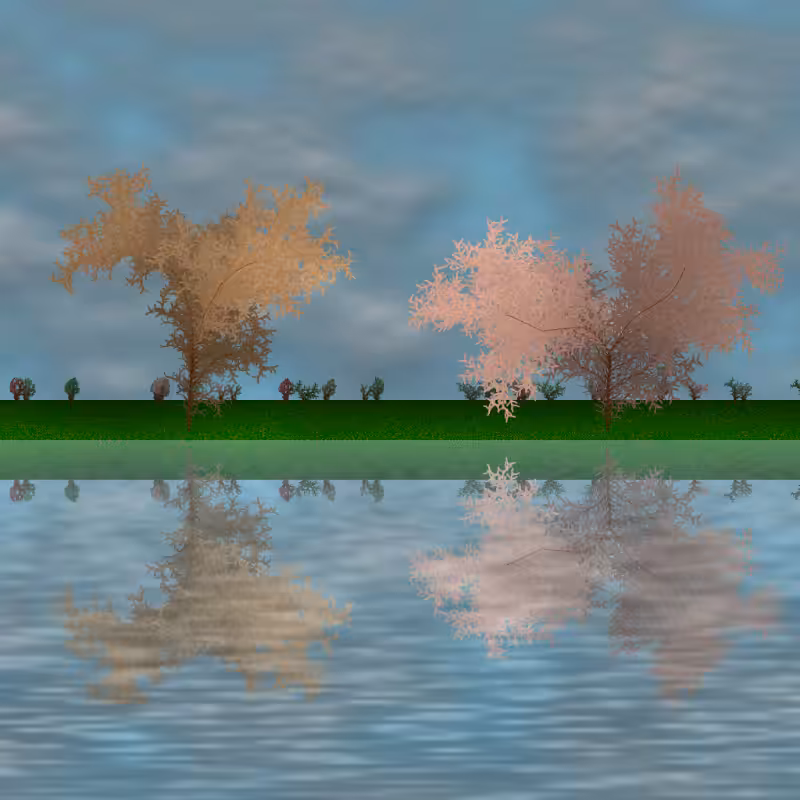 The dancing grove #43