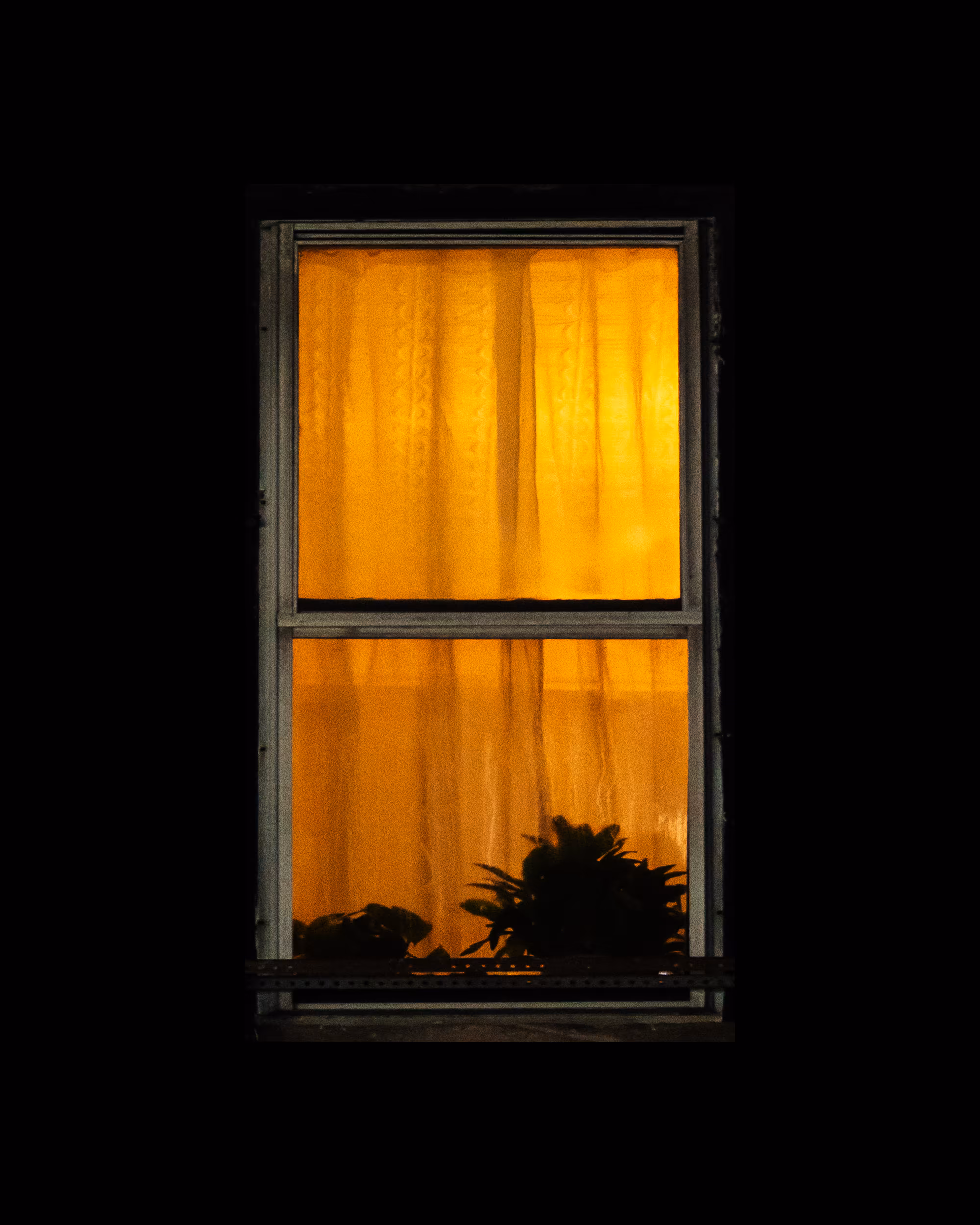 WINDOW 459
