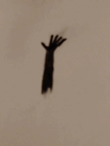 The split  hand
