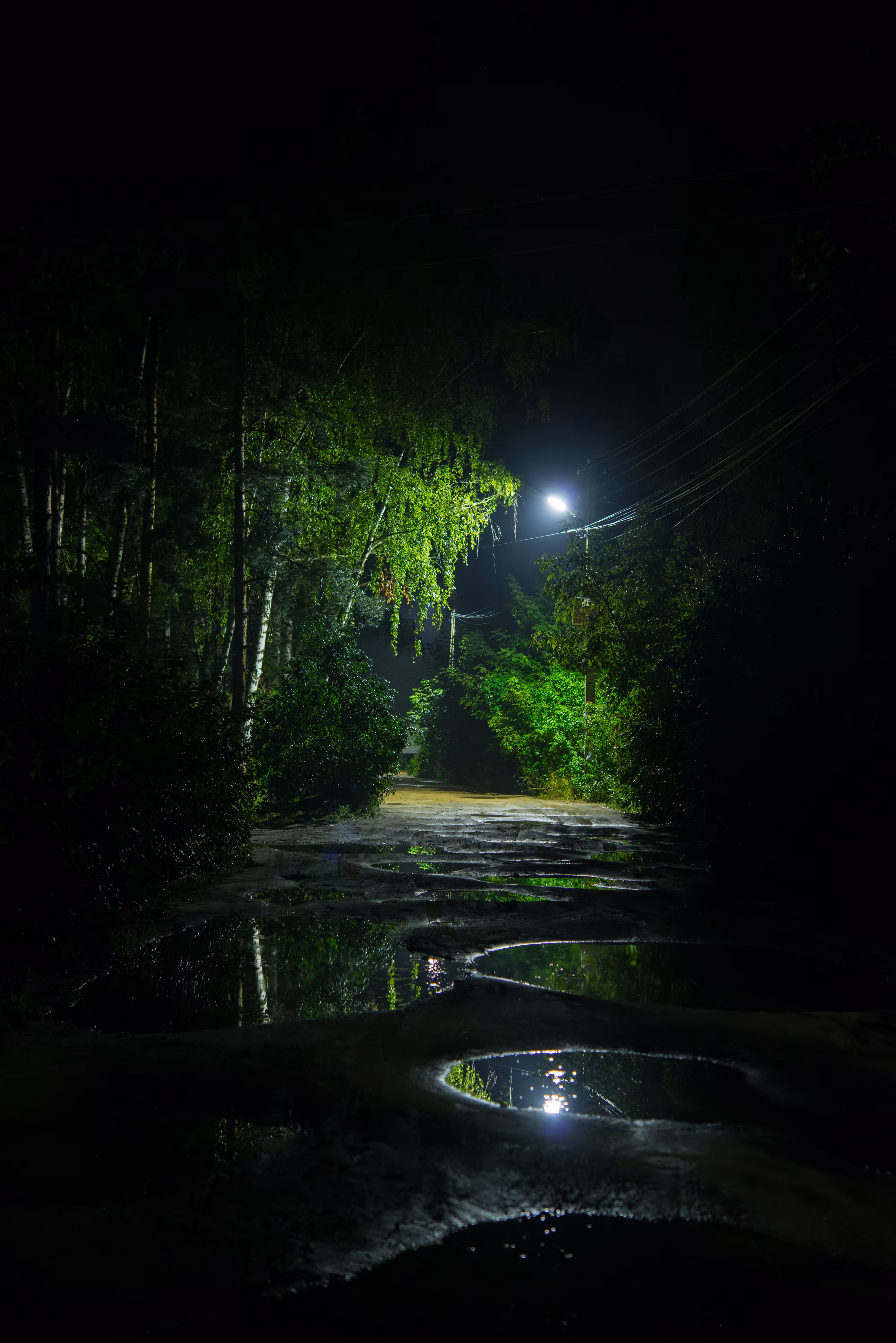 lightsinthedark: dsc1010