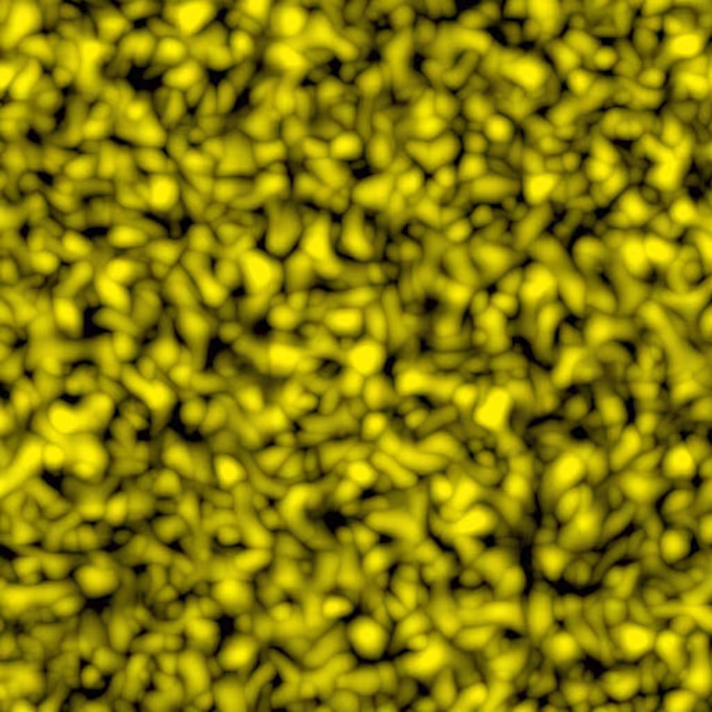 noise 01/10 of Series 8
