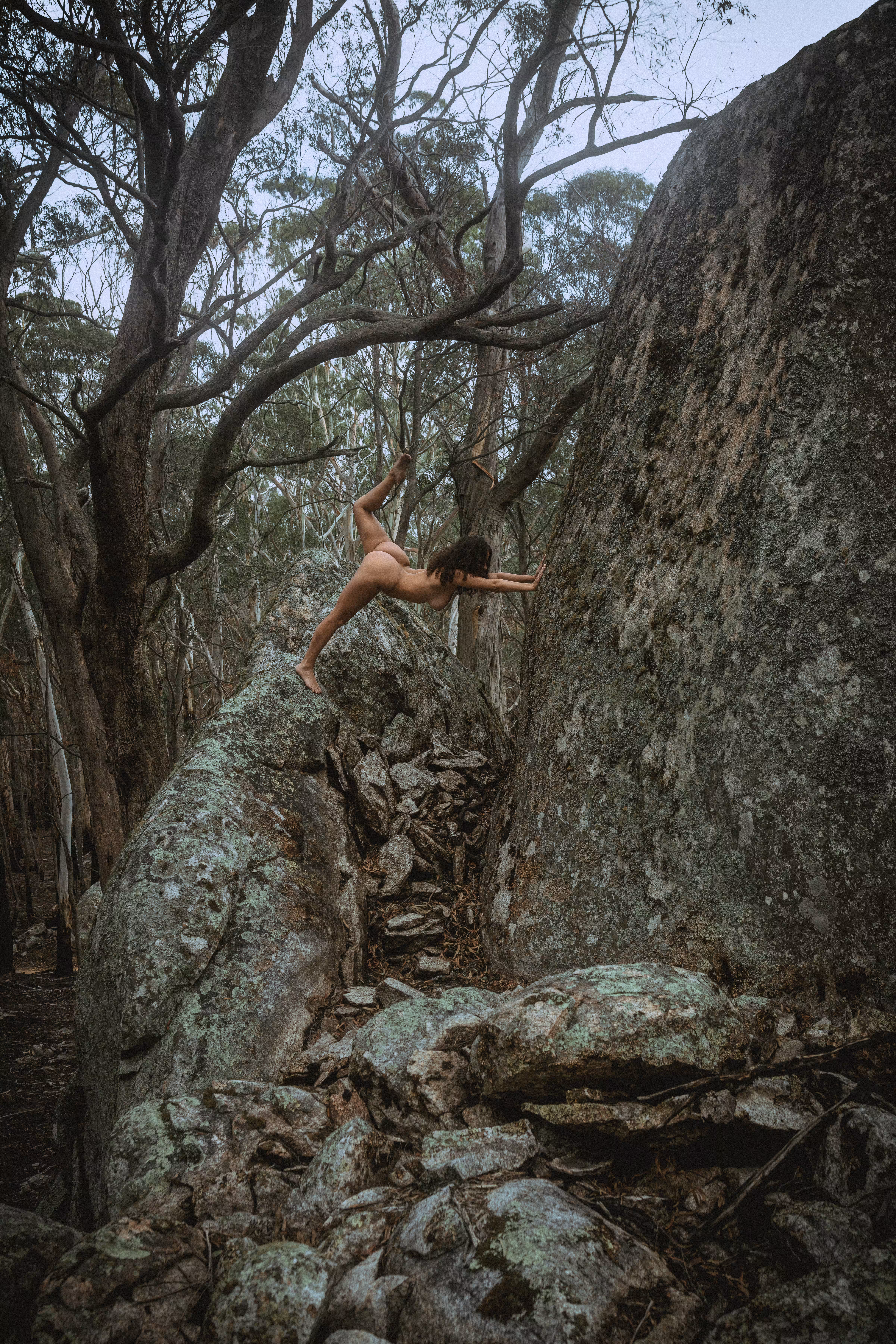 Wilderness of Life #6