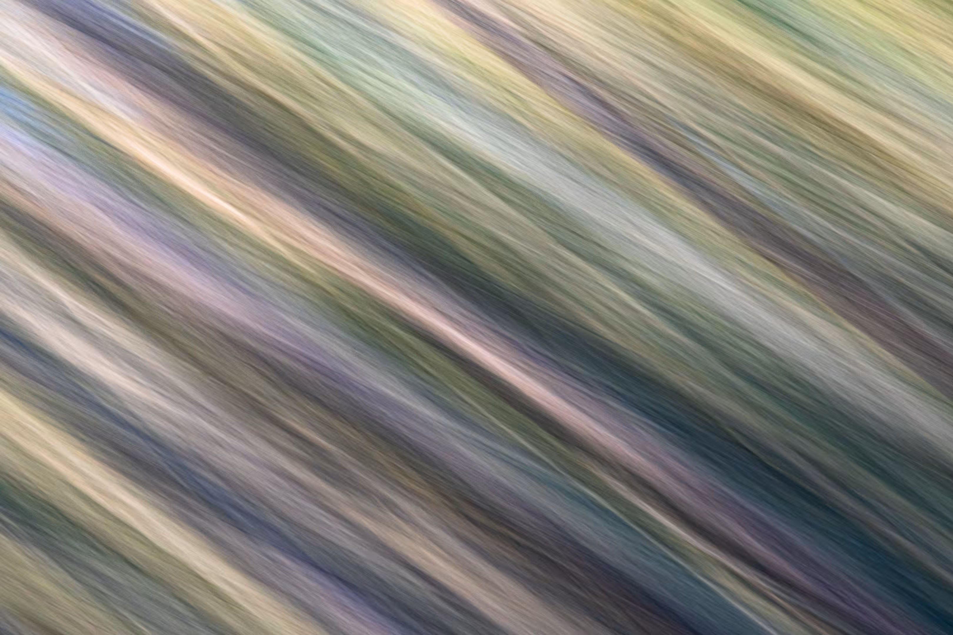 The Ghosts of Elowah #44