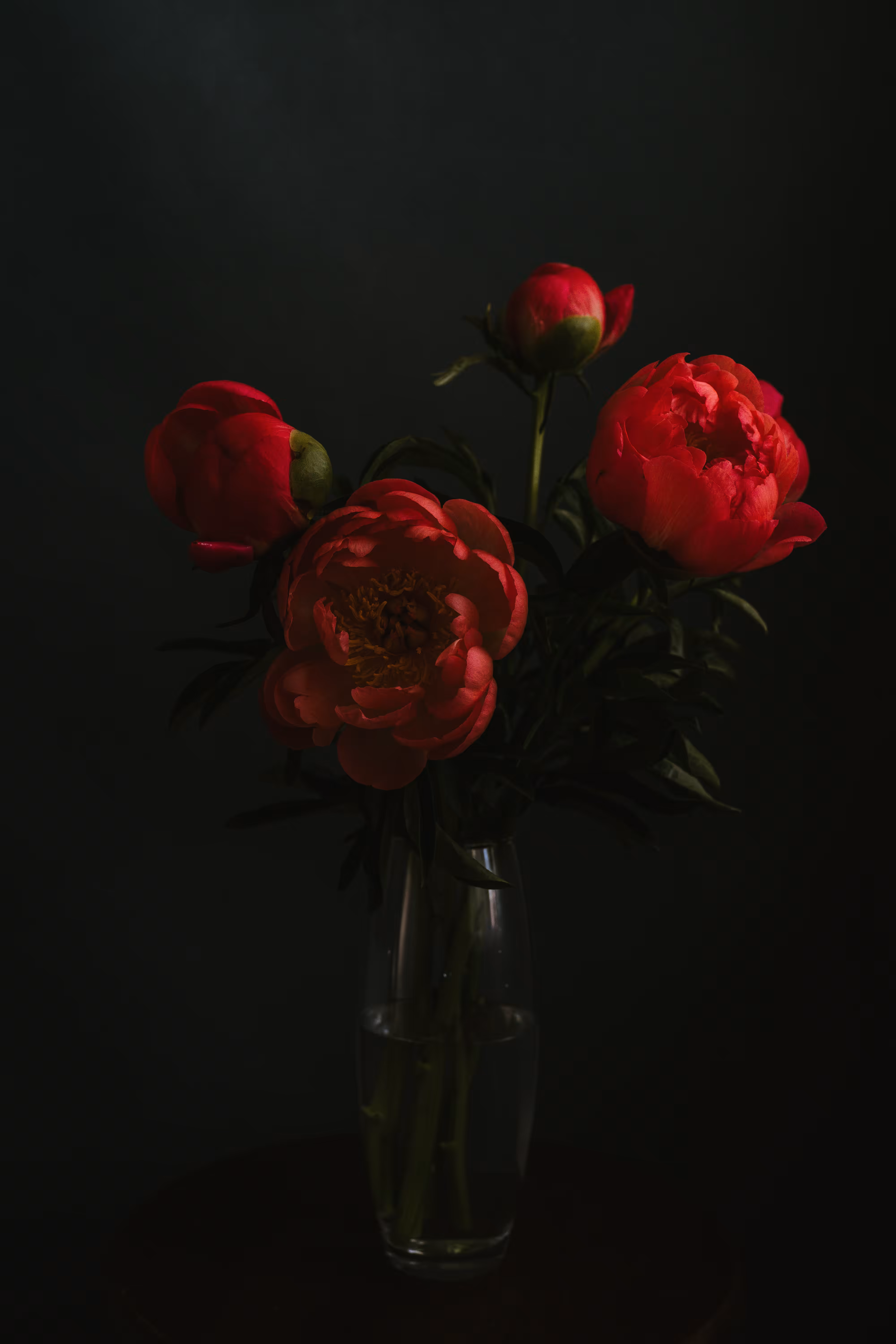 Soul of the flower #1