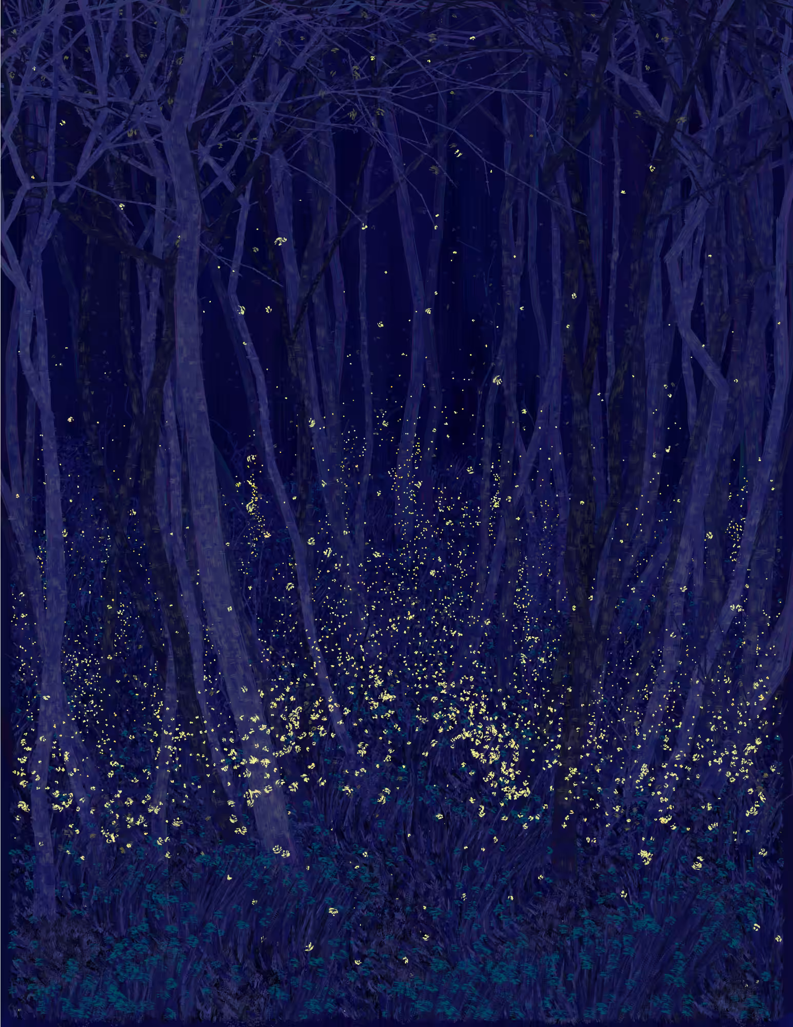 Deep Forest #338