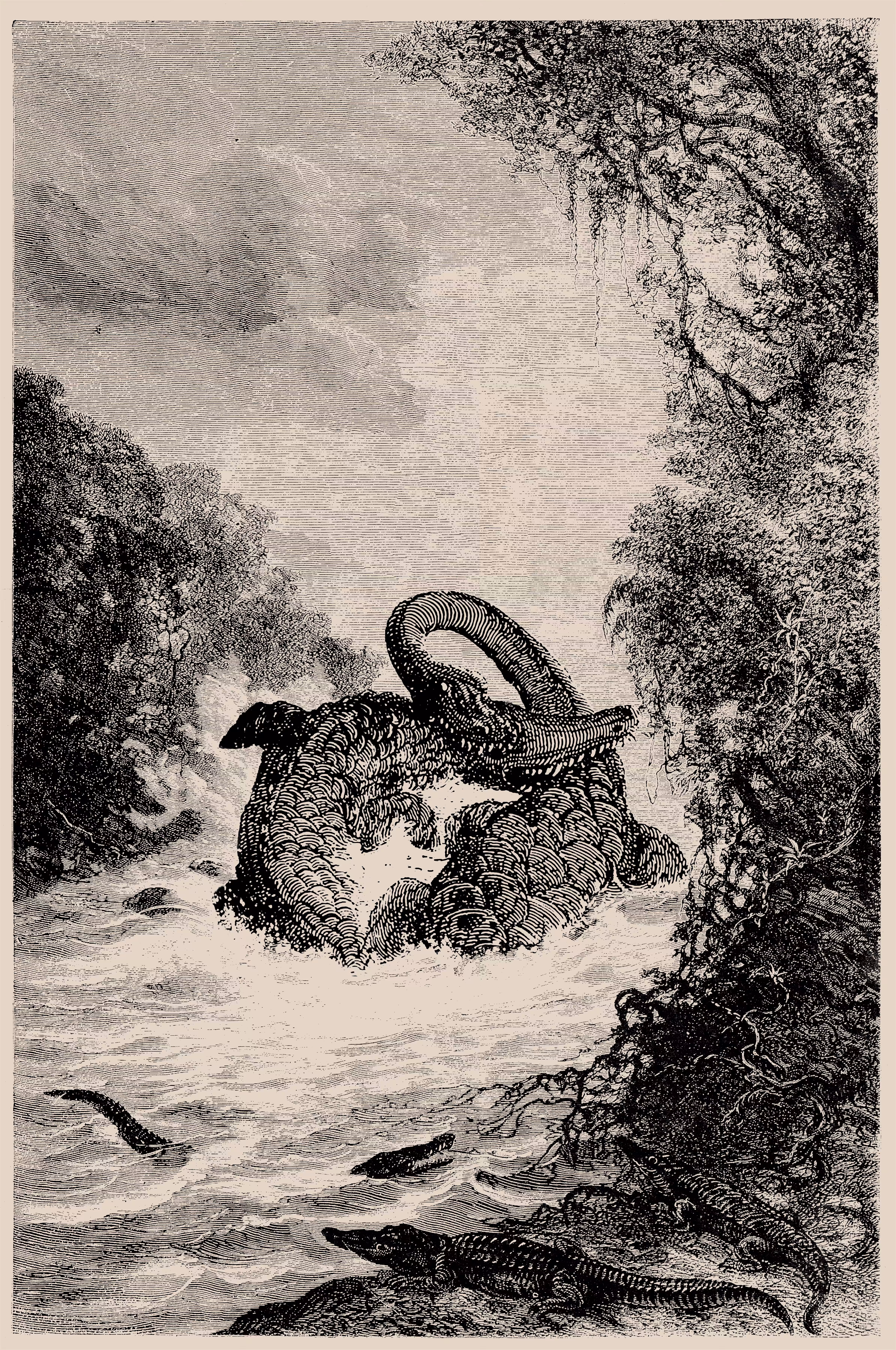 The Angostura Pass, Battle between a Plesiosaurus and a Pilosaurus in the Naré River.