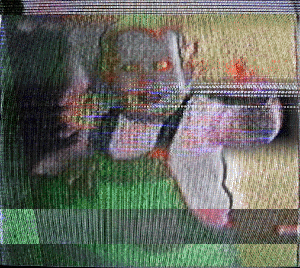 Shared Memory