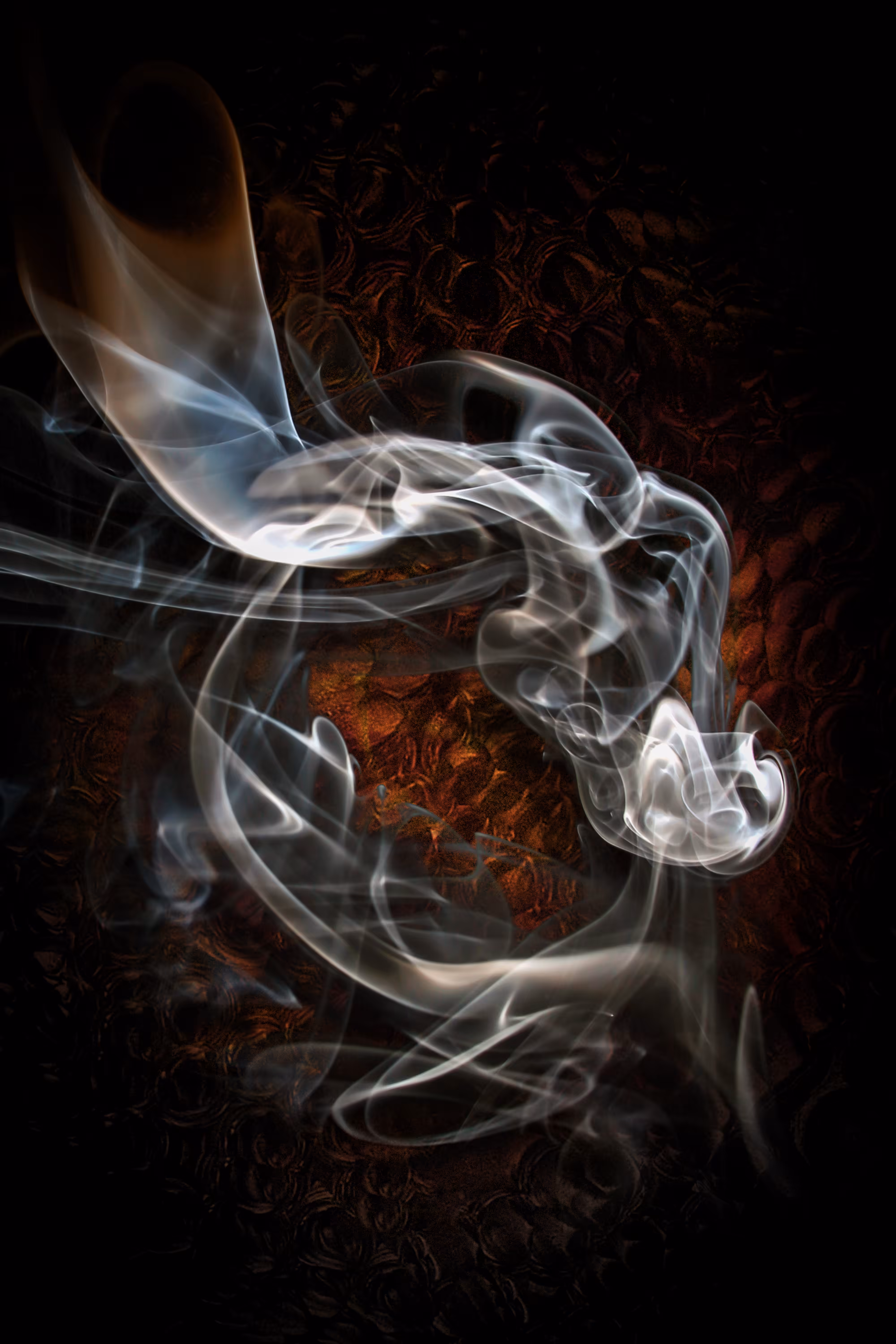 Dragon's Soul