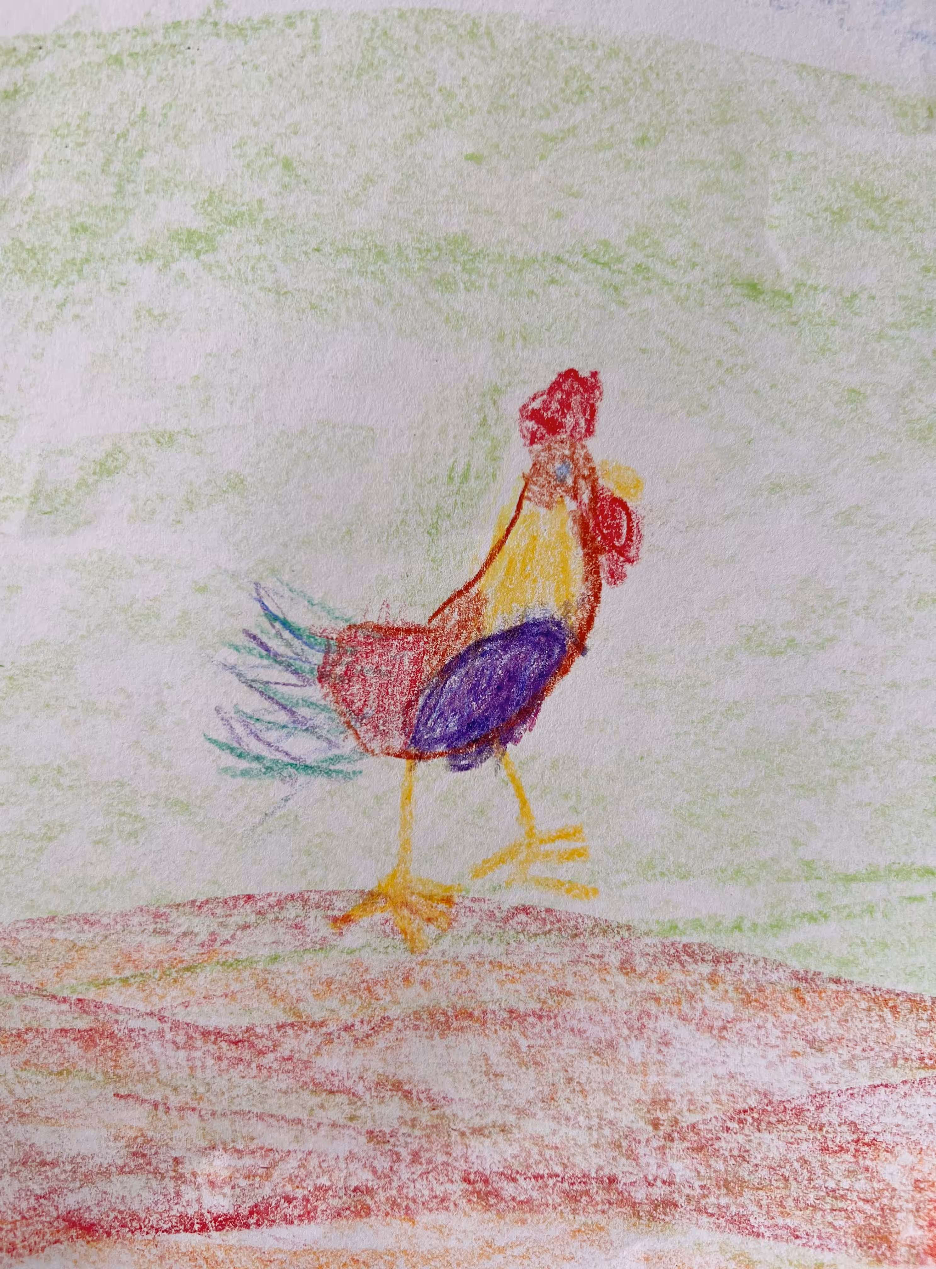 Rooster