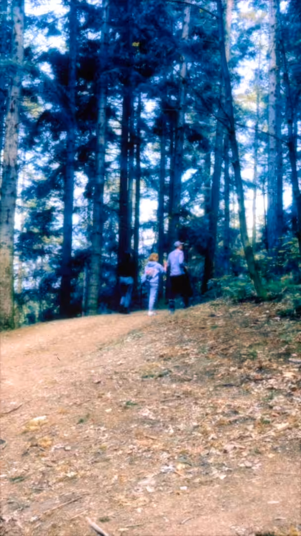 sound diary #1