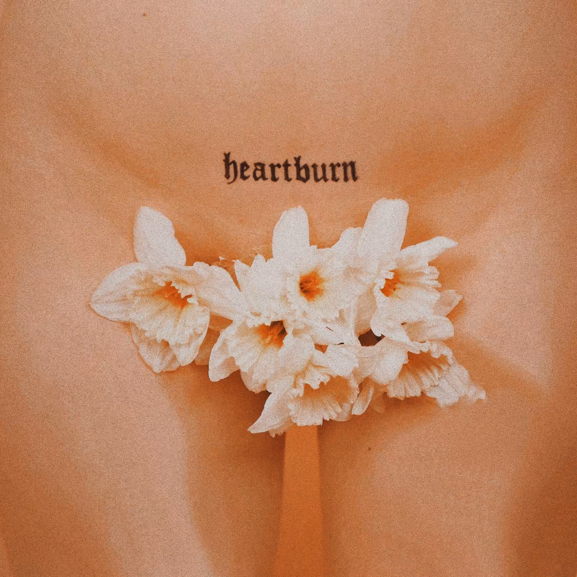 Heartburn 