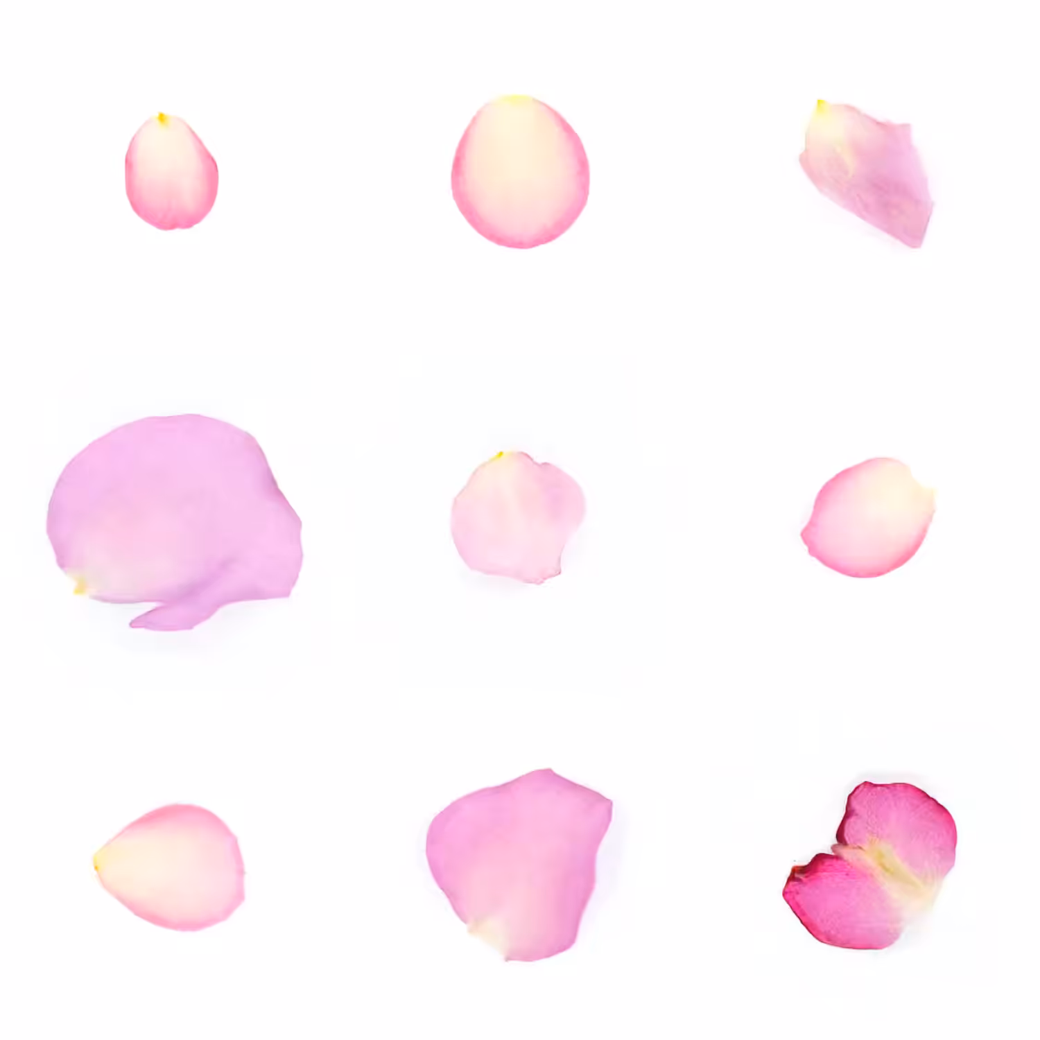 Infinite Petals 3x3#3849