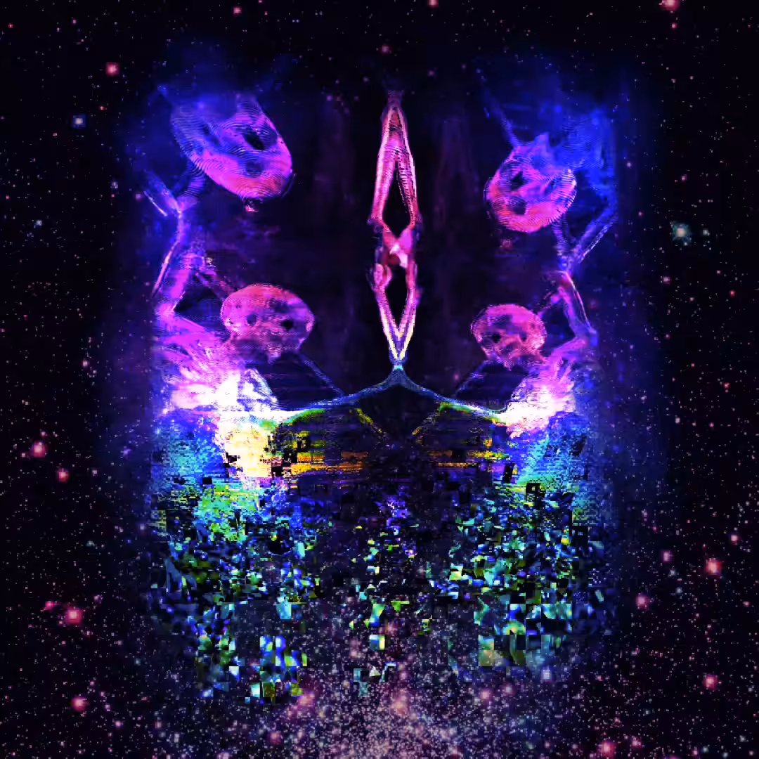 fractal division 1