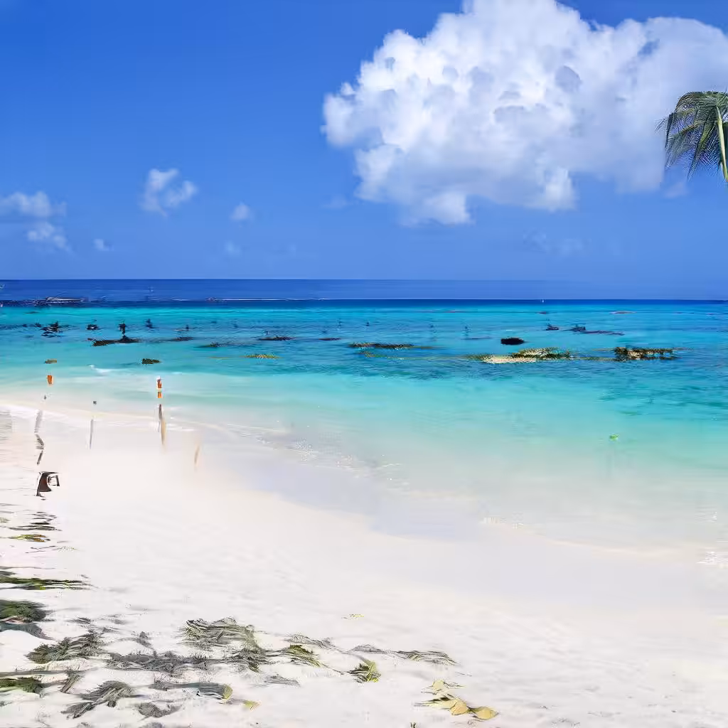 this paradise does not exist