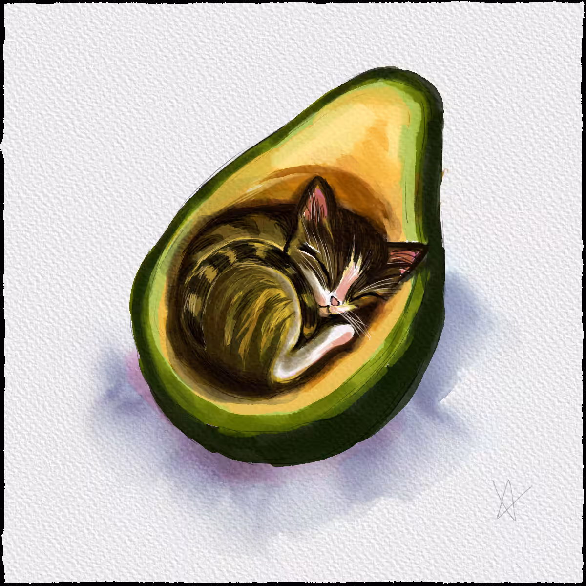 Avocado Cat