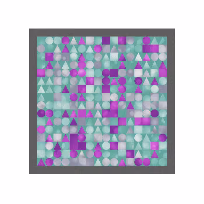 FOCUS #25