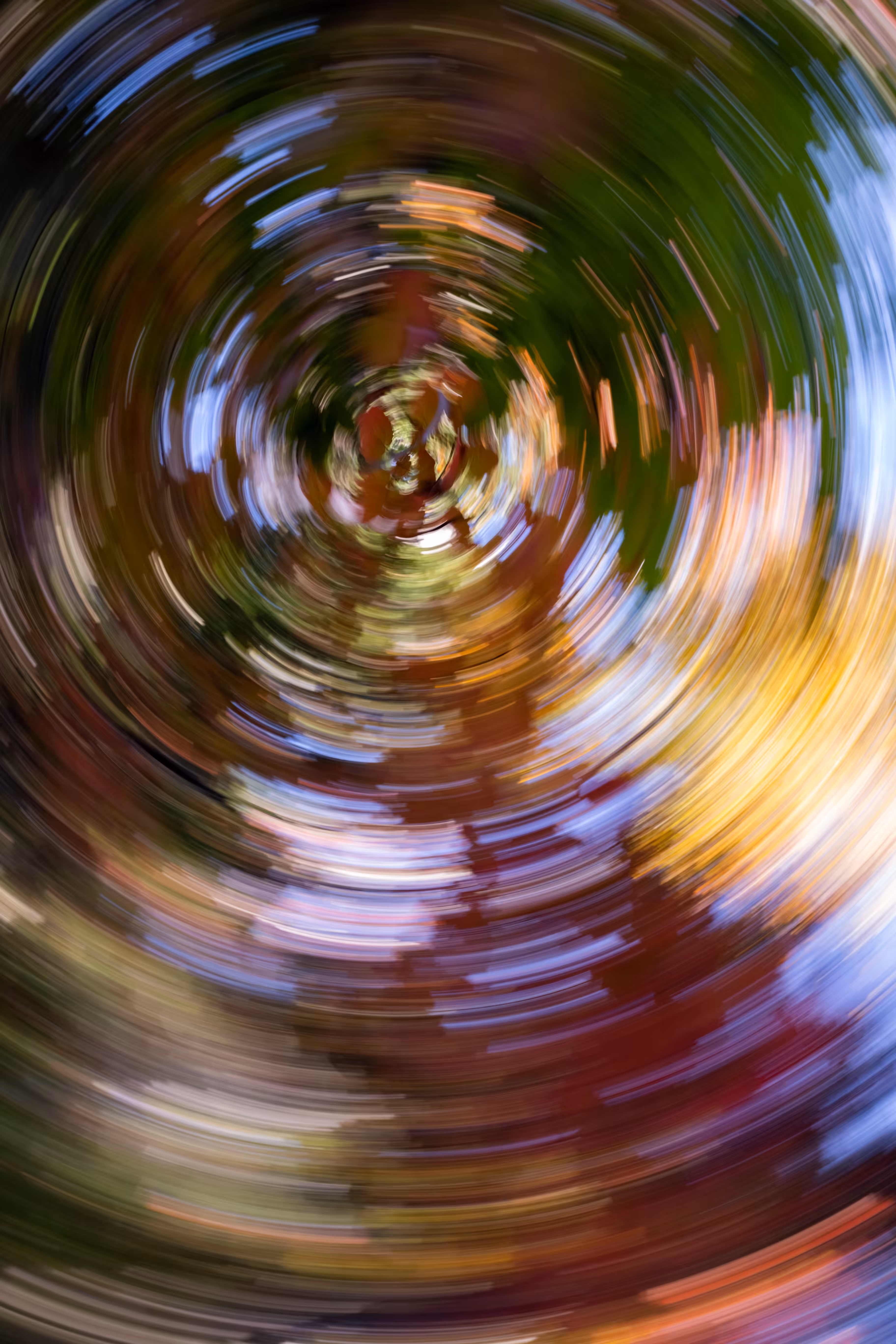 Tree Rings #50 - Circumpolar